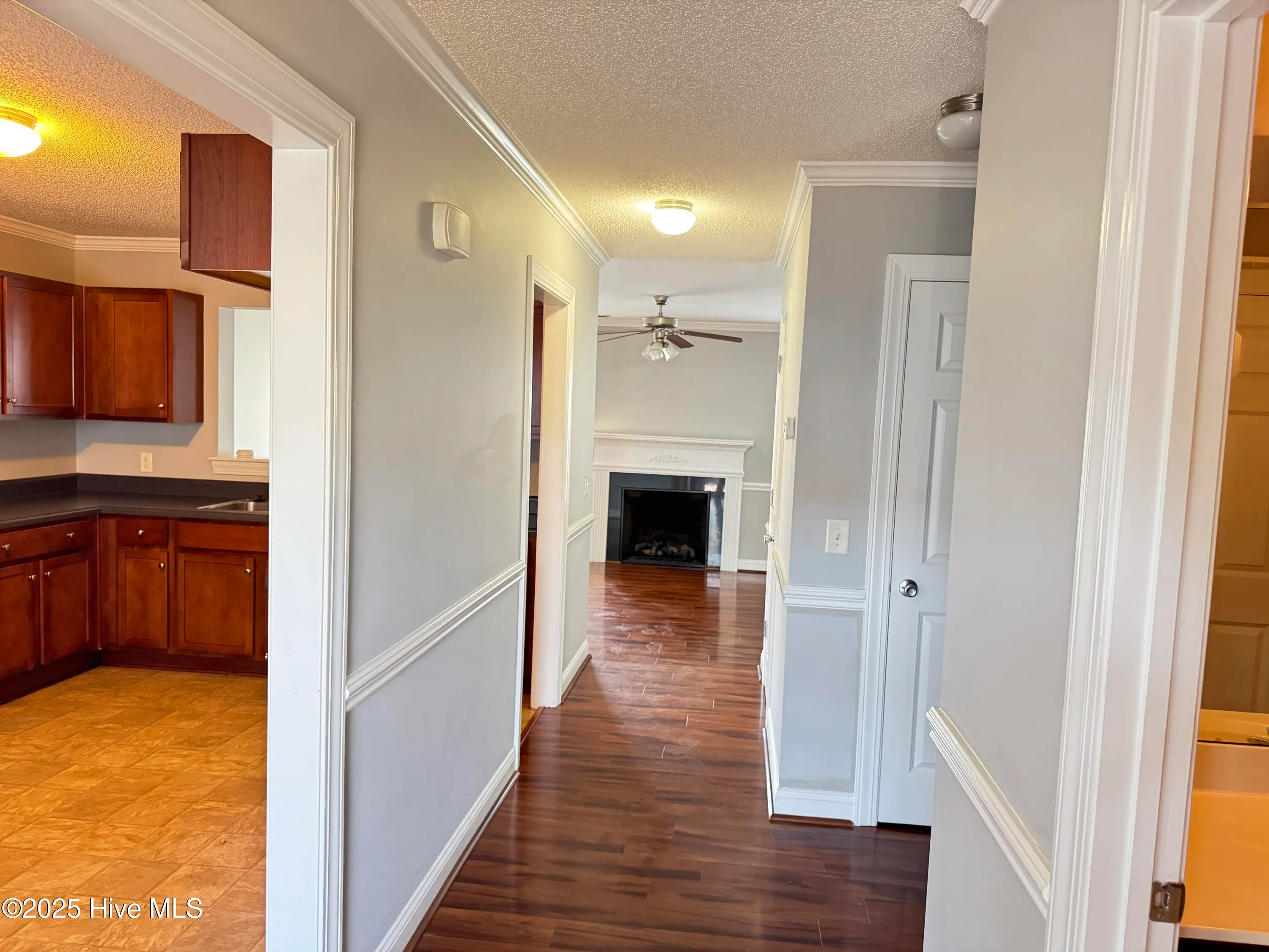 Greenville, North Carolina 27834, United States, 3 Bedrooms Bedrooms, ,3 BathroomsBathrooms,Residential,Active,215848