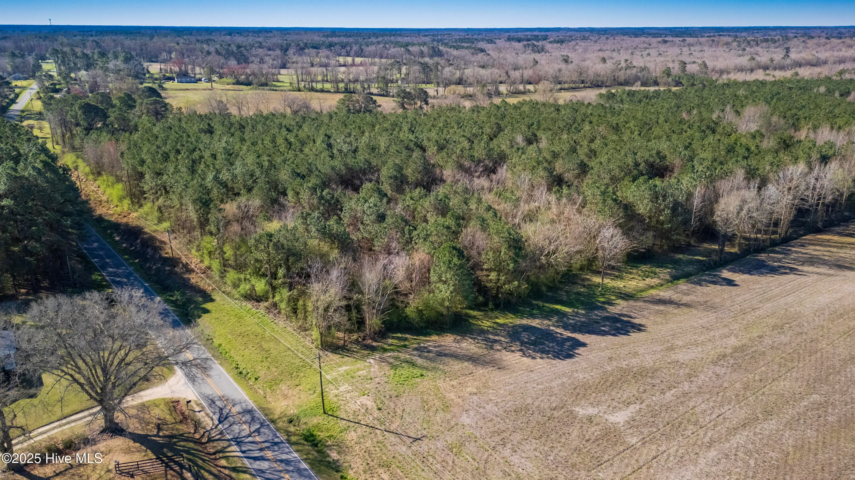 Kenansville, North Carolina 28349, United States, ,Land,Active,94125