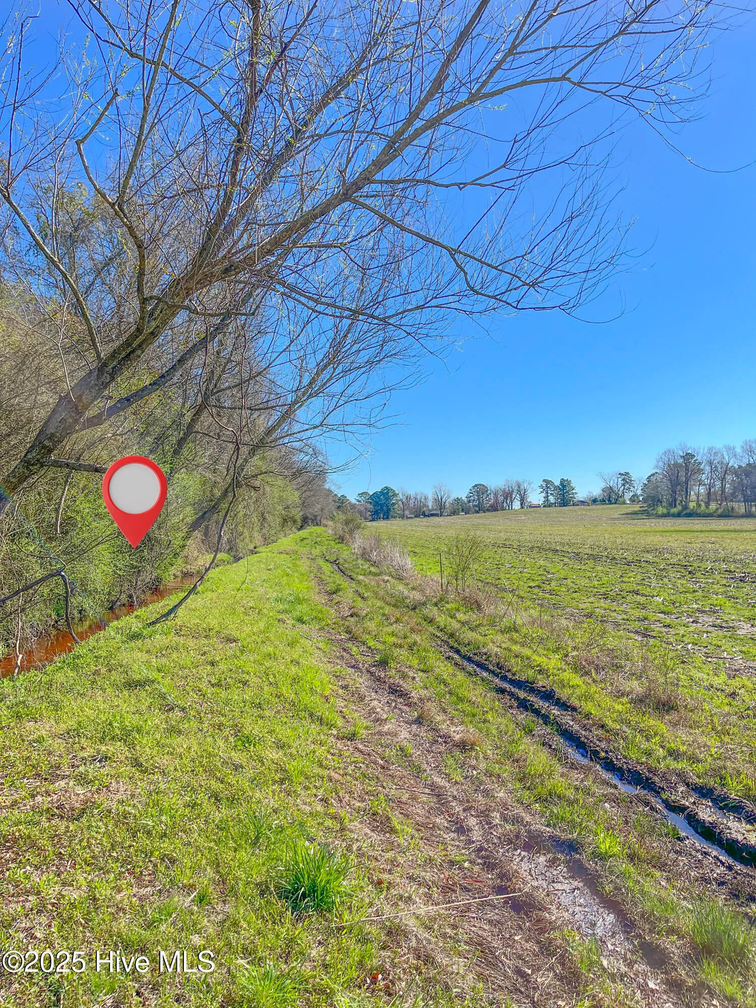 Kenansville, North Carolina 28349, United States, ,Land,Active,94125