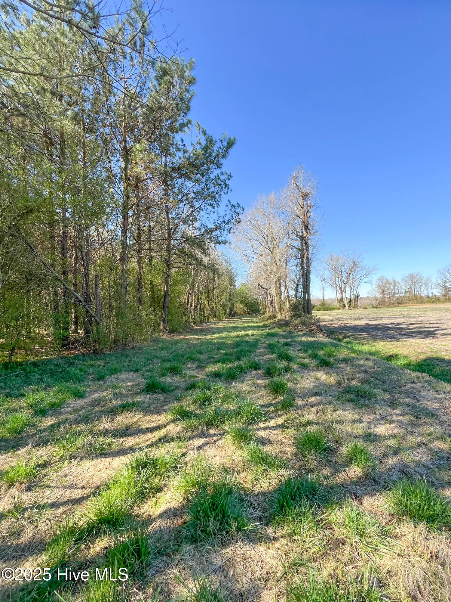 Kenansville, North Carolina 28349, United States, ,Land,Active,94125