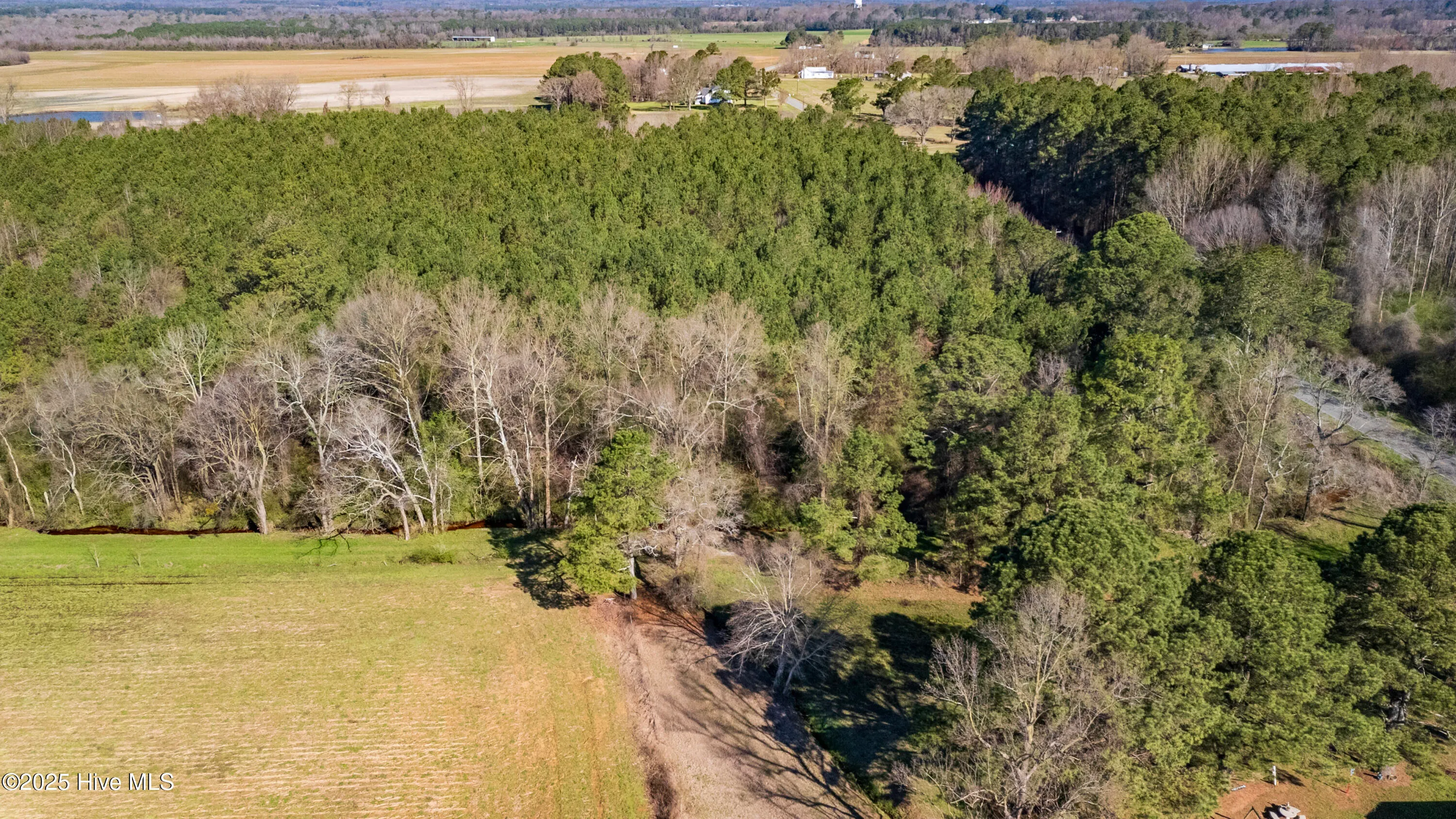 Kenansville, North Carolina 28349, United States, ,Land,Active,94125