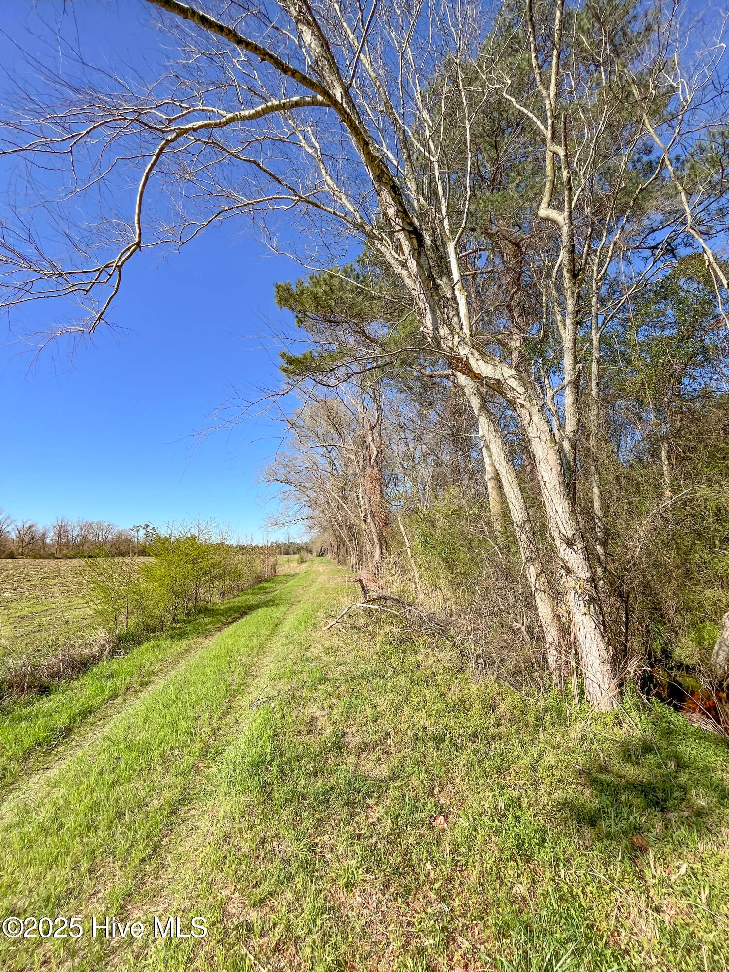 Kenansville, North Carolina 28349, United States, ,Land,Active,94125