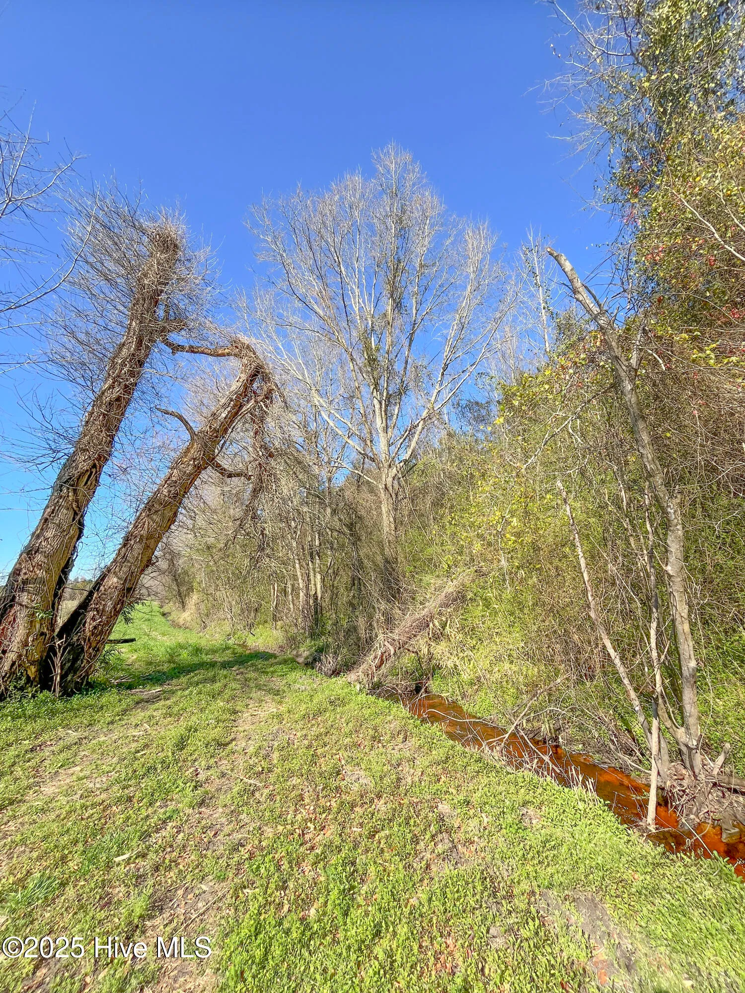 Kenansville, North Carolina 28349, United States, ,Land,Active,94125