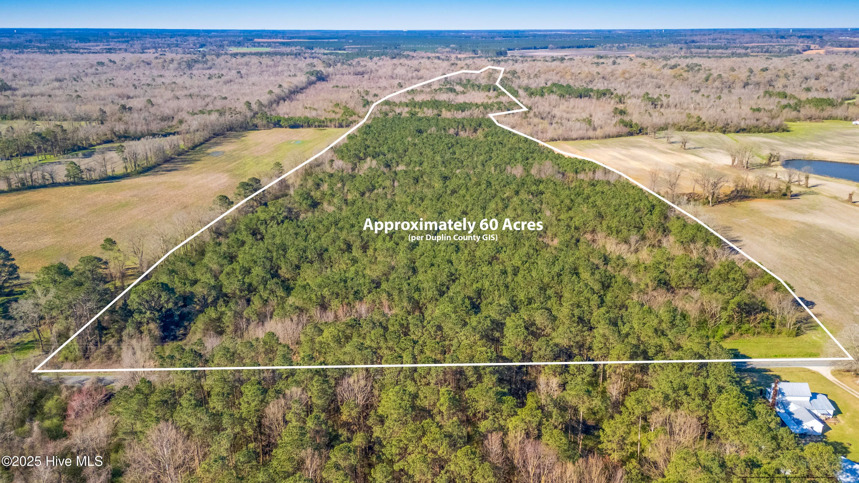 Kenansville, North Carolina 28349, United States, ,Land,Active,94125