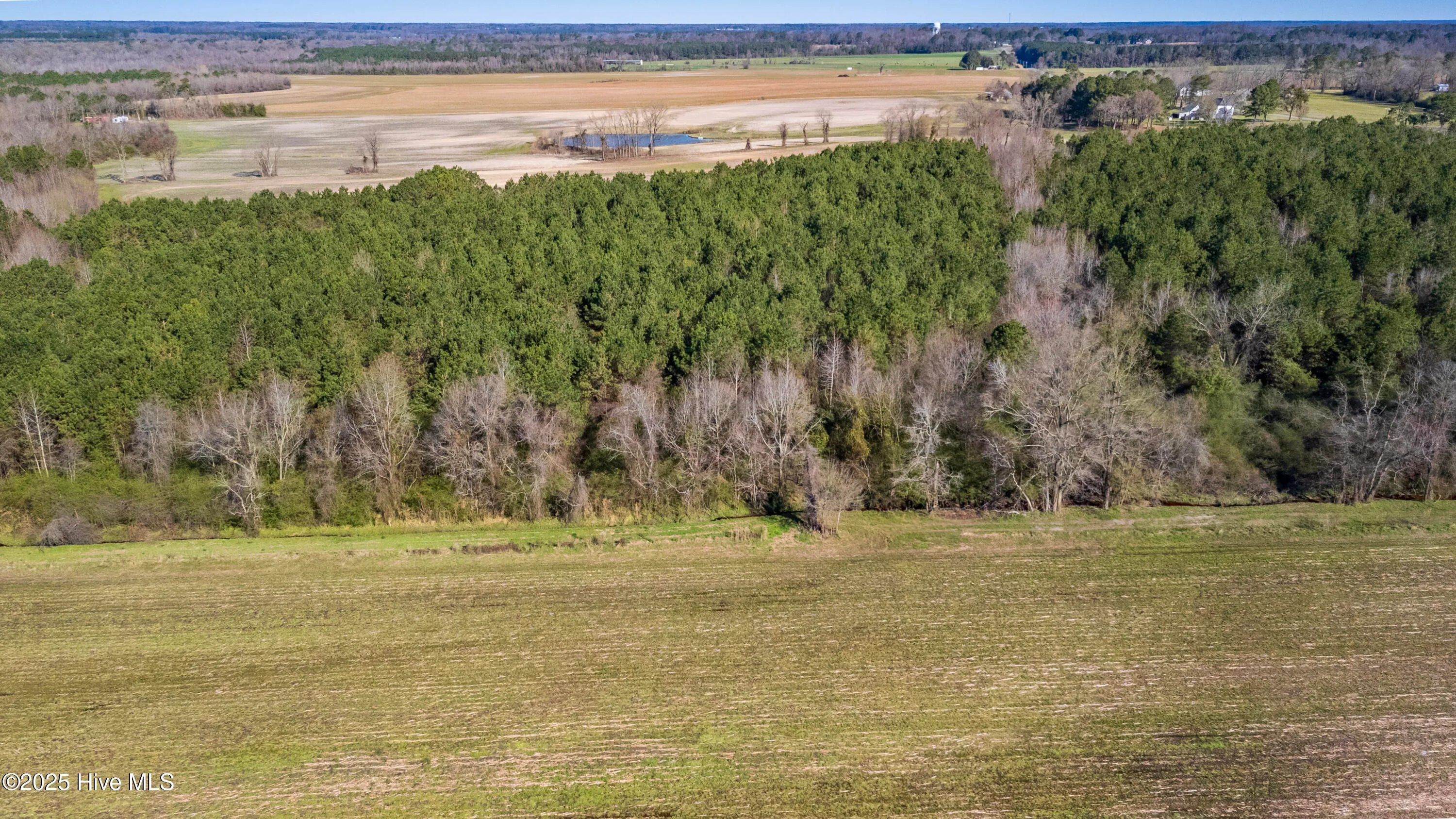 Kenansville, North Carolina 28349, United States, ,Land,Active,94125