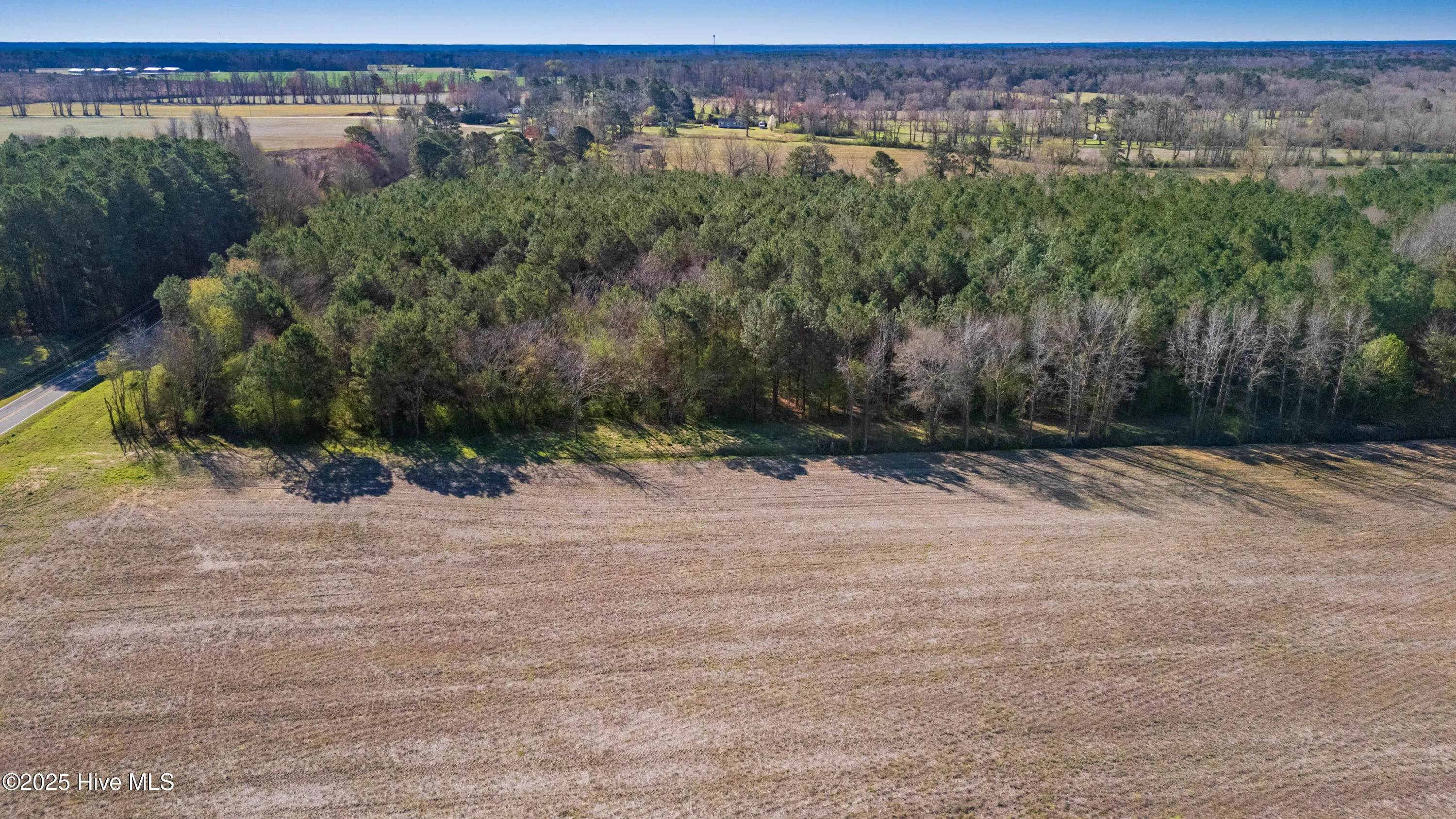 Kenansville, North Carolina 28349, United States, ,Land,Active,94125