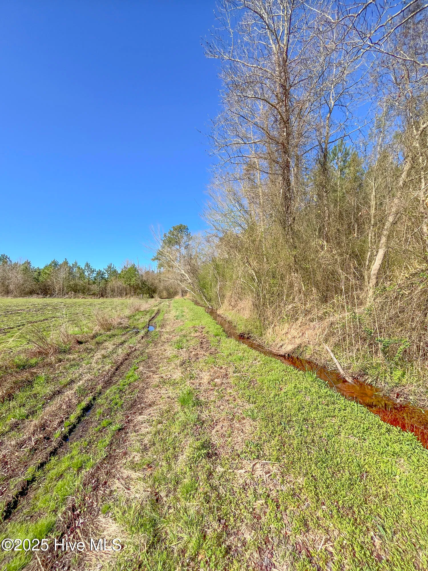 Kenansville, North Carolina 28349, United States, ,Land,Active,94125