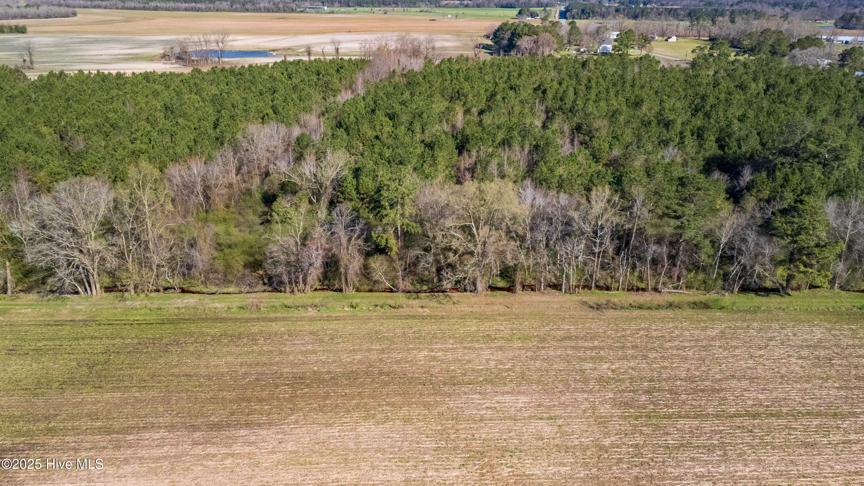 Kenansville, North Carolina 28349, United States, ,Land,Active,94125