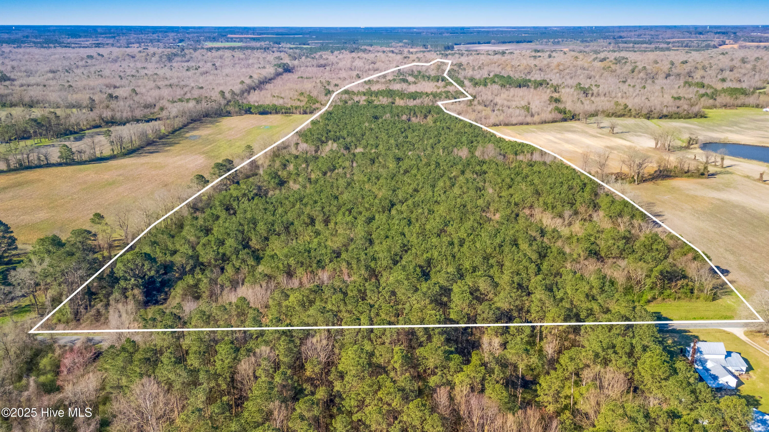 Kenansville, North Carolina 28349, United States, ,Land,Active,94125