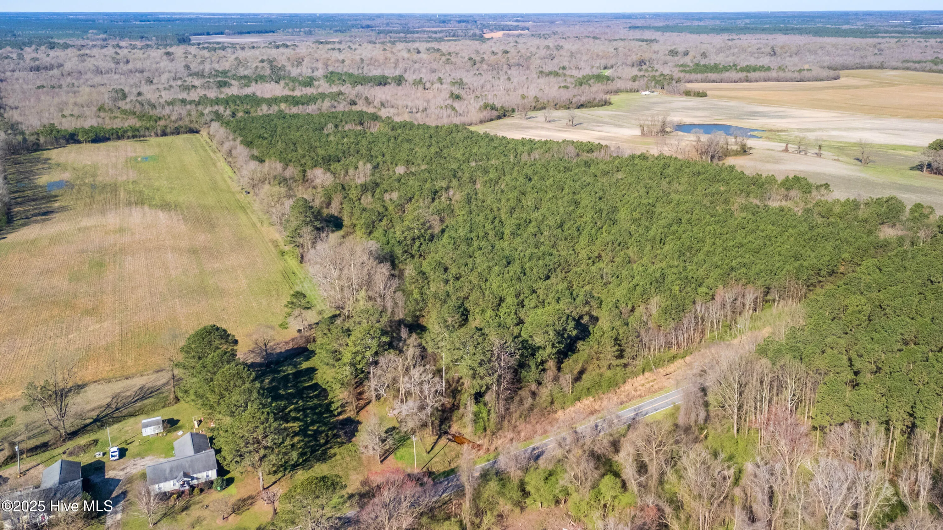 Kenansville, North Carolina 28349, United States, ,Land,Active,94125