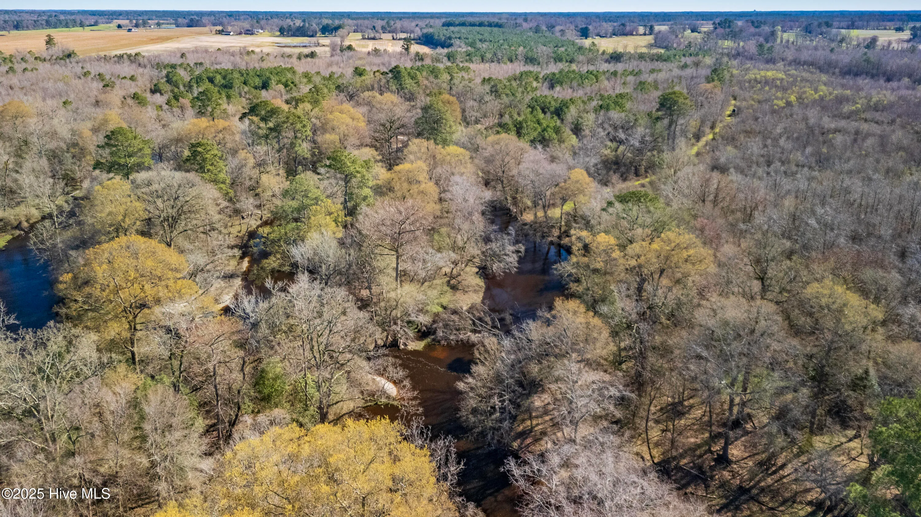 Kenansville, North Carolina 28349, United States, ,Land,Active,94125