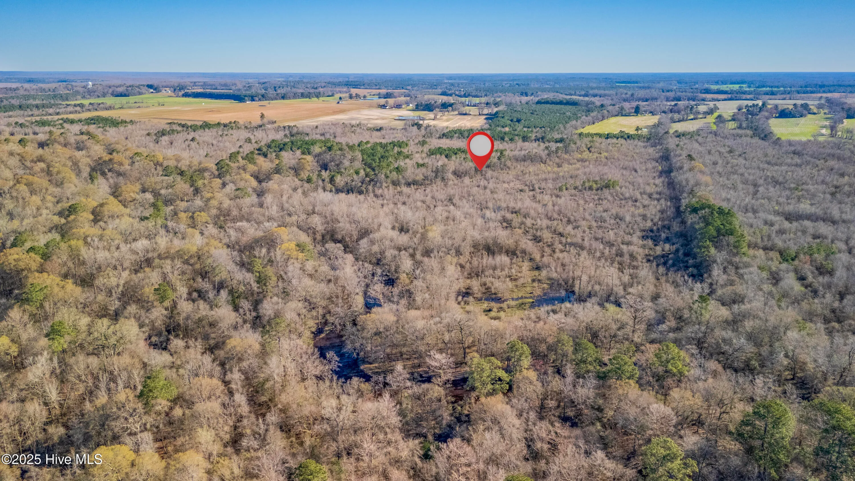 Kenansville, North Carolina 28349, United States, ,Land,Active,94125