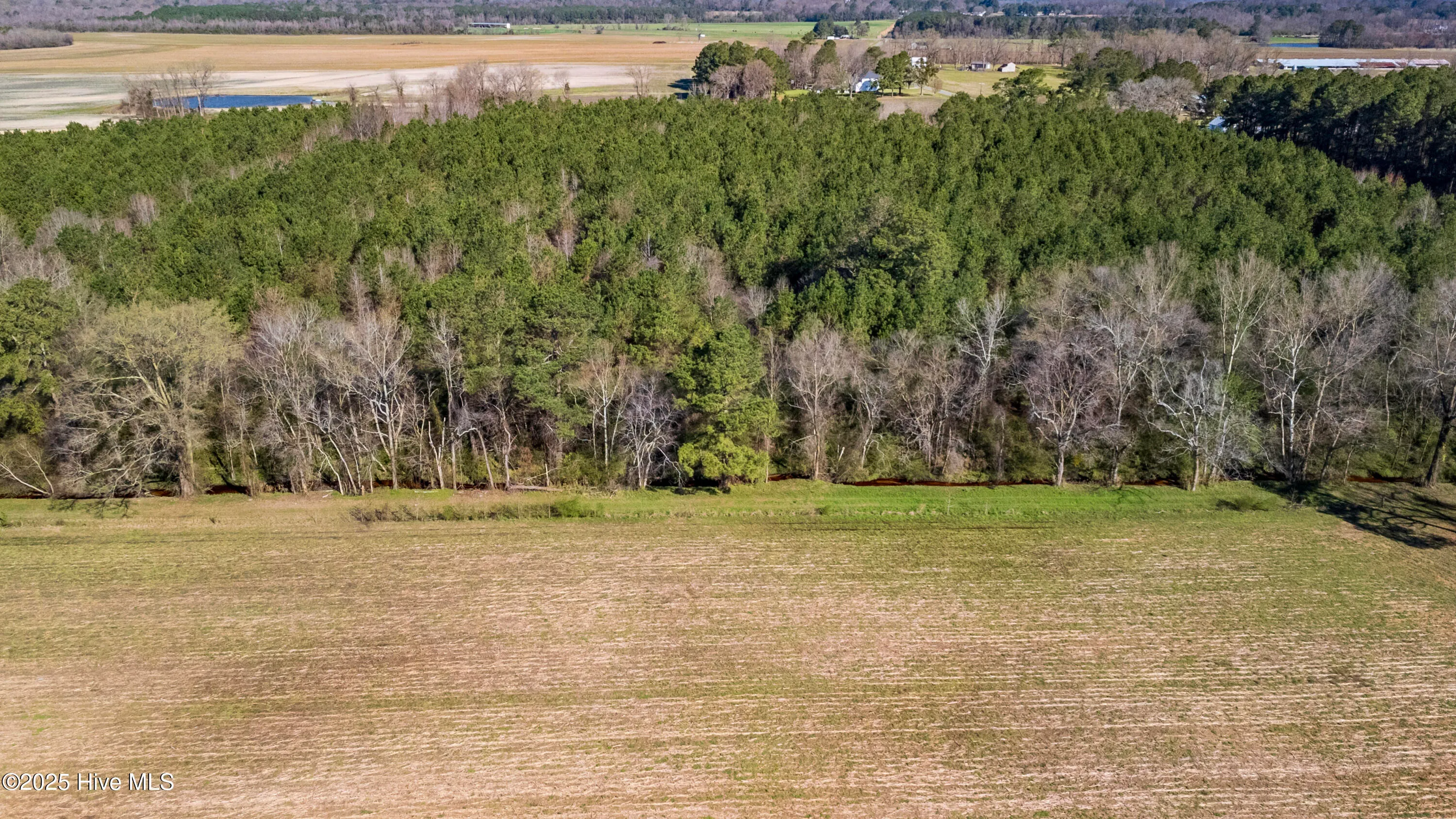 Kenansville, North Carolina 28349, United States, ,Land,Active,94125