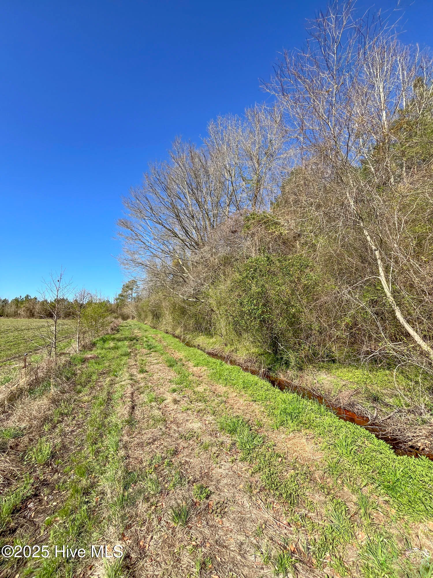 Kenansville, North Carolina 28349, United States, ,Land,Active,94125