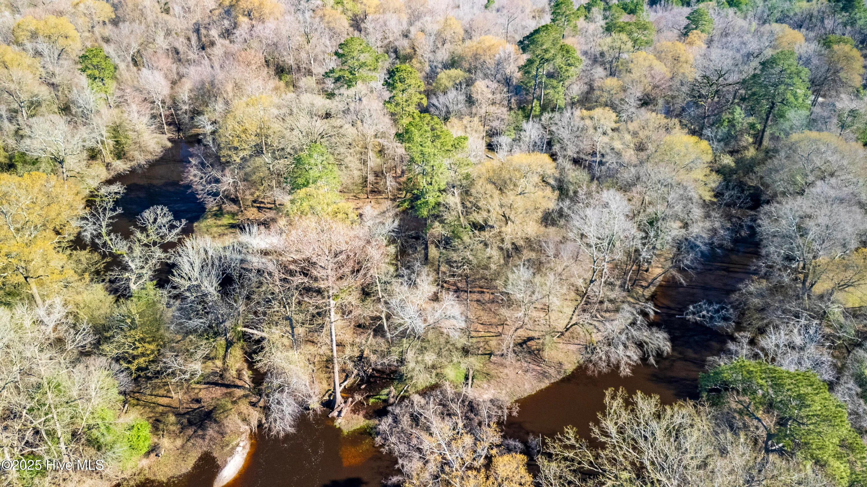 Kenansville, North Carolina 28349, United States, ,Land,Active,94125