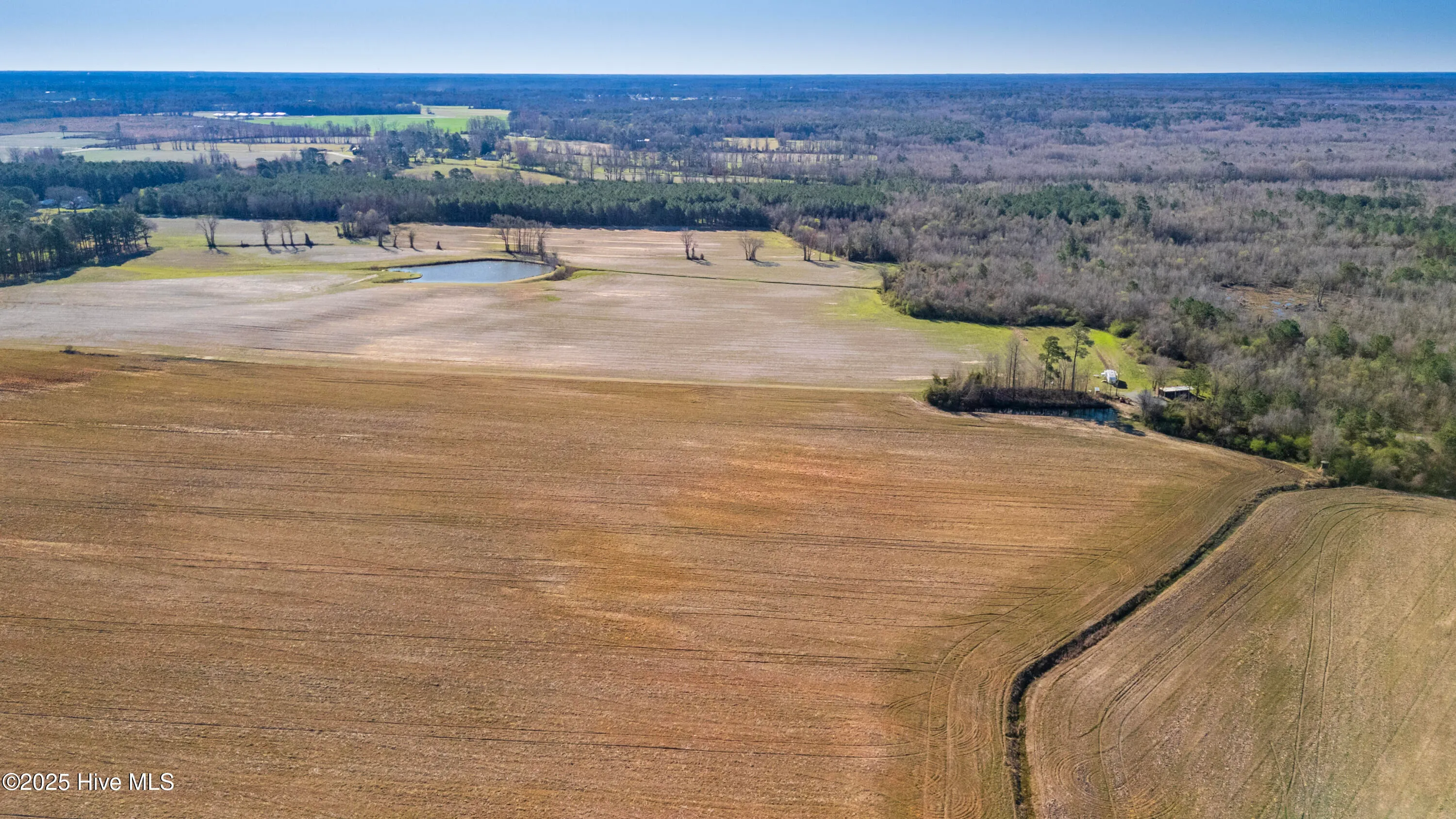 Kenansville, North Carolina 28349, United States, ,Land,Active,94125