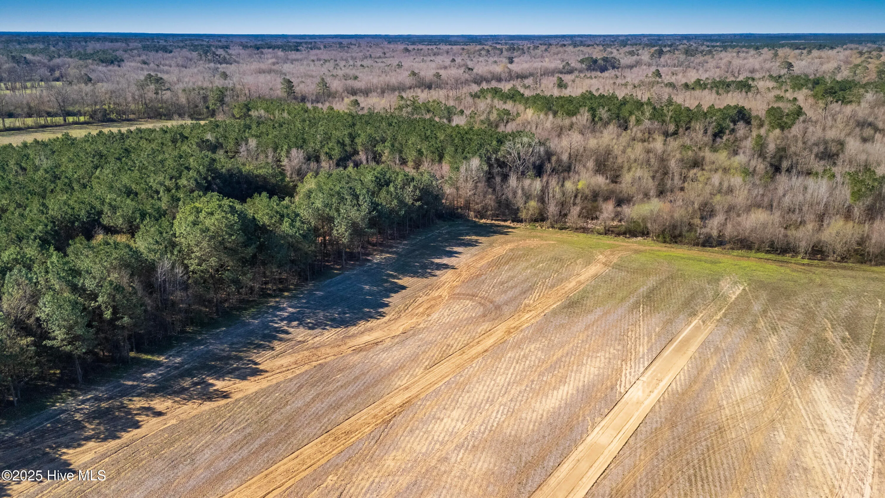 Kenansville, North Carolina 28349, United States, ,Land,Active,94125