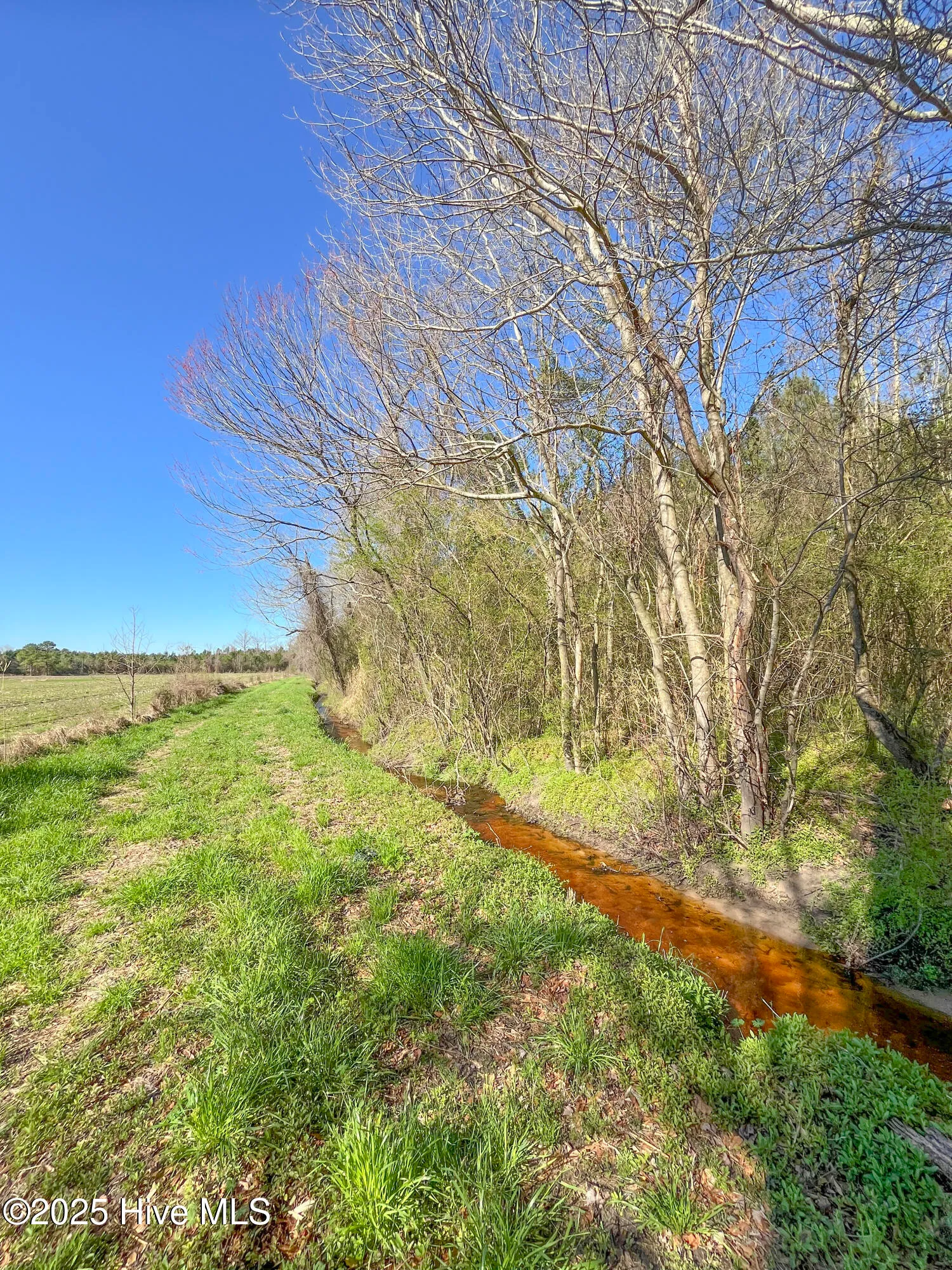 Kenansville, North Carolina 28349, United States, ,Land,Active,94125