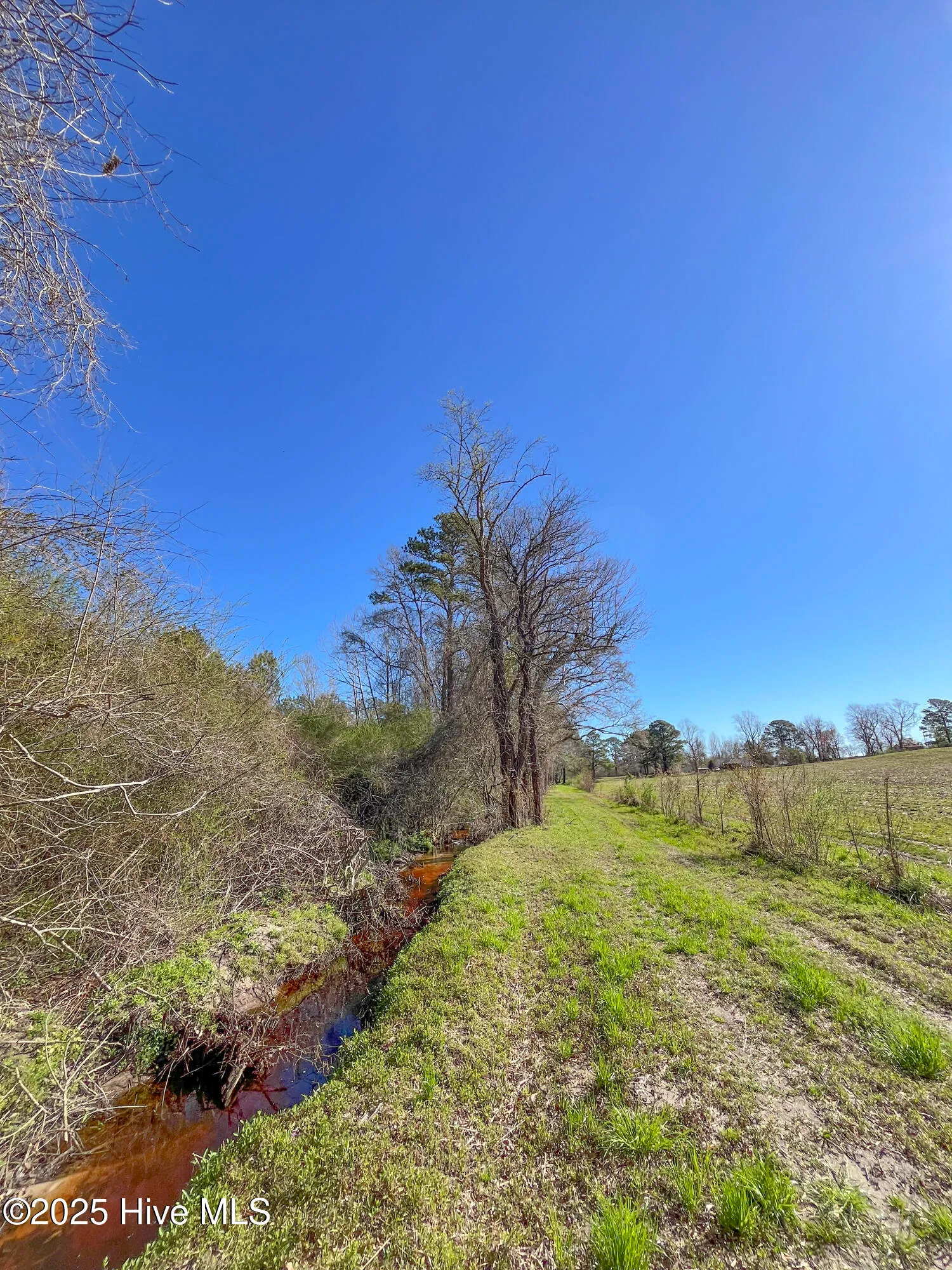 Kenansville, North Carolina 28349, United States, ,Land,Active,94125