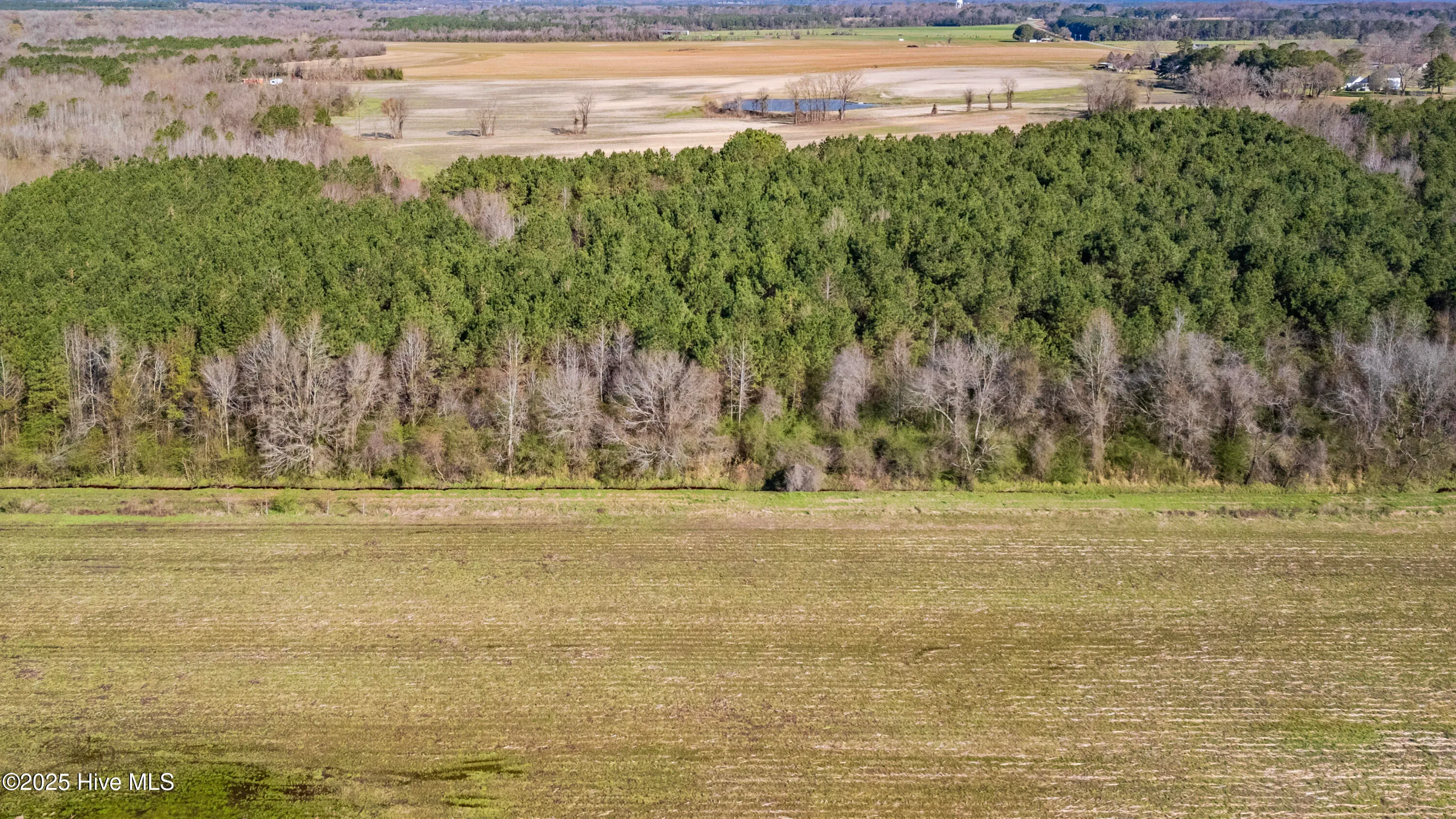Kenansville, North Carolina 28349, United States, ,Land,Active,94125