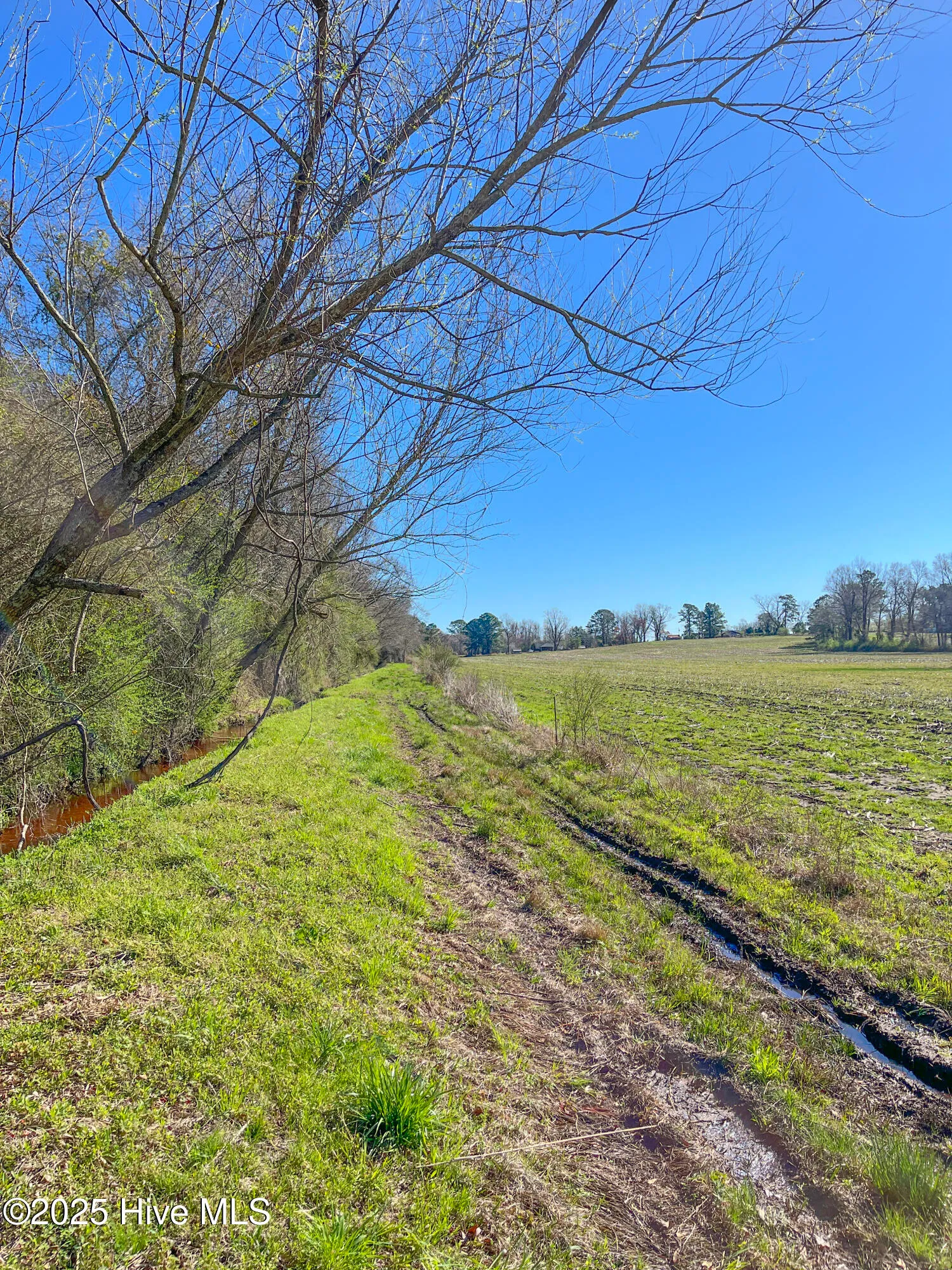 Kenansville, North Carolina 28349, United States, ,Land,Active,94125