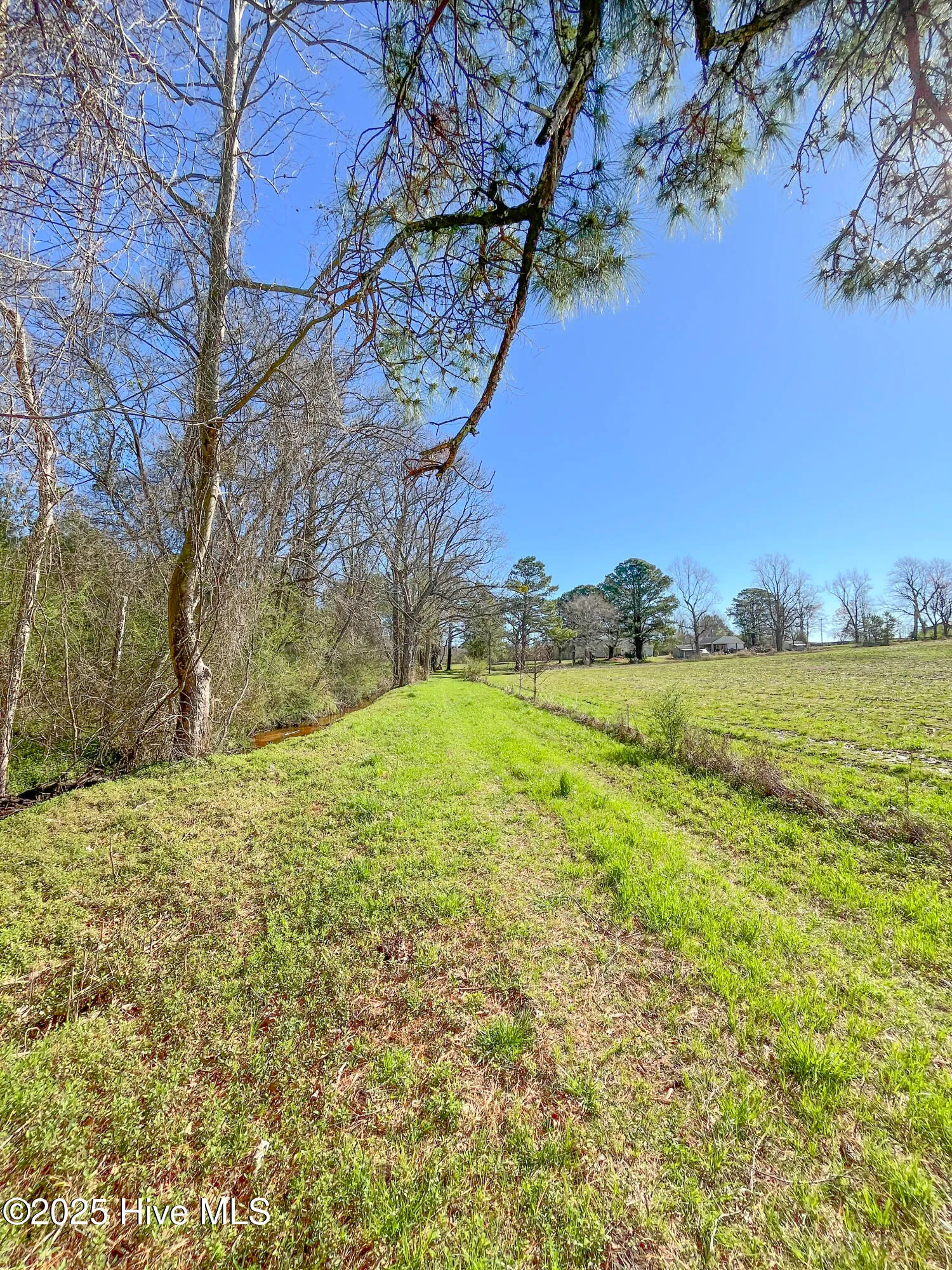 Kenansville, North Carolina 28349, United States, ,Land,Active,94125