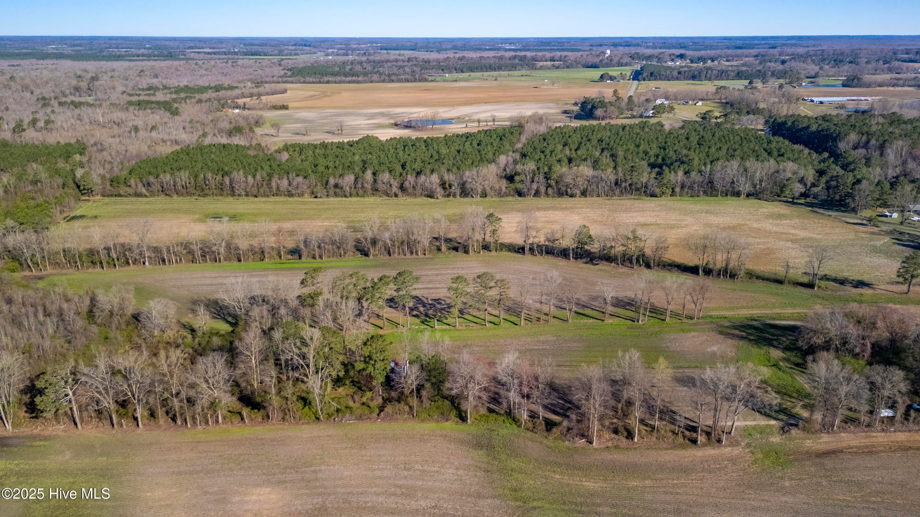 Kenansville, North Carolina 28349, United States, ,Land,Active,94125