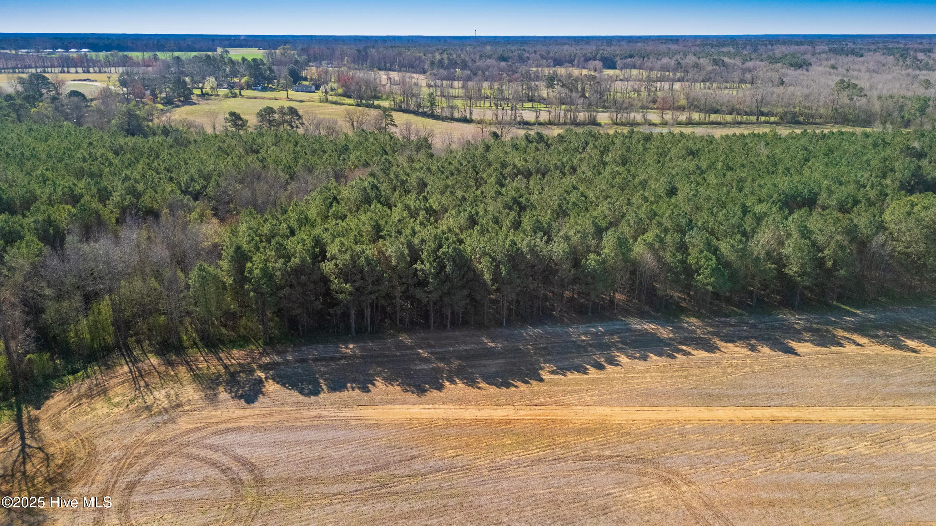 Kenansville, North Carolina 28349, United States, ,Land,Active,94125