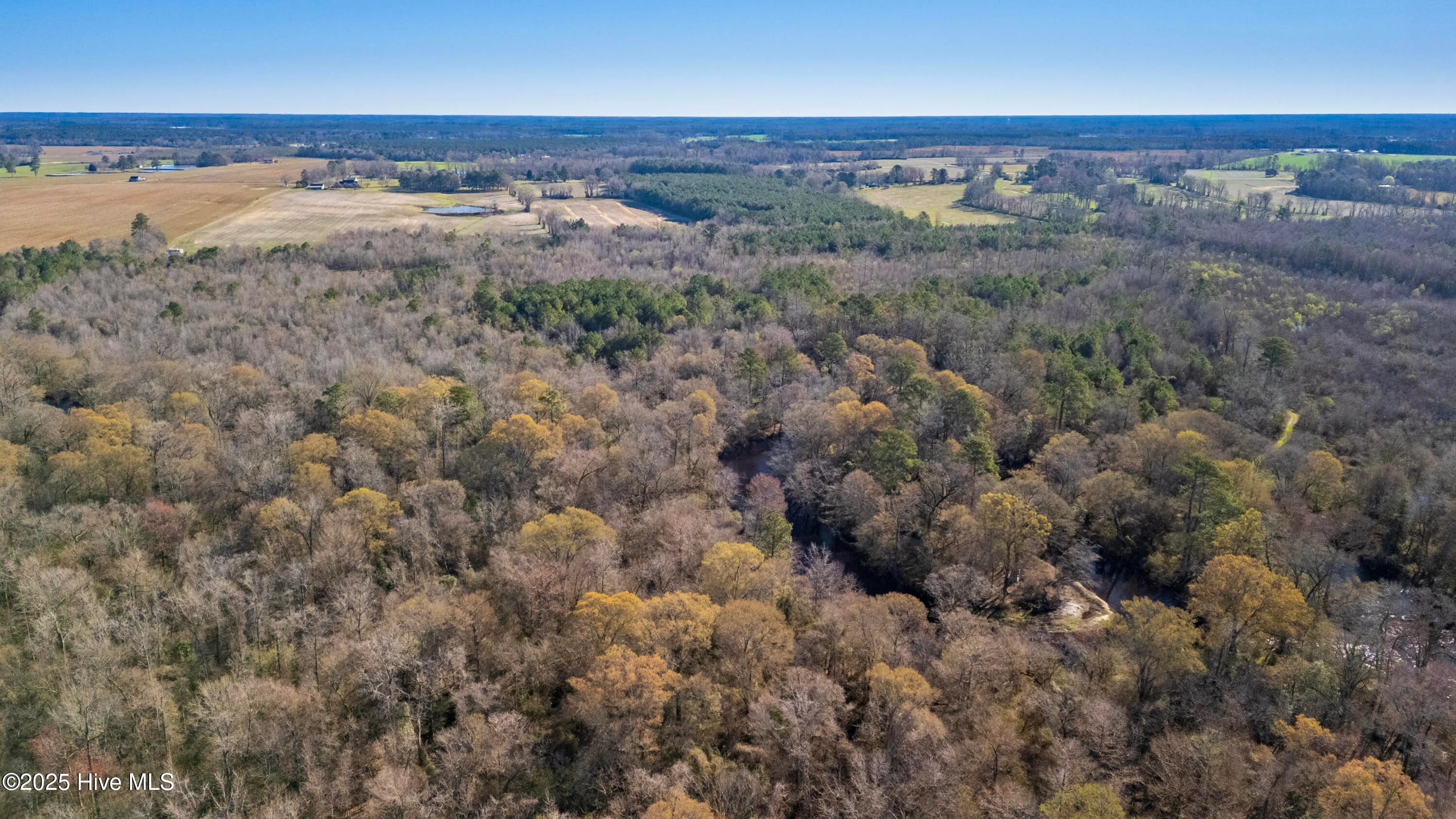 Kenansville, North Carolina 28349, United States, ,Land,Active,94125