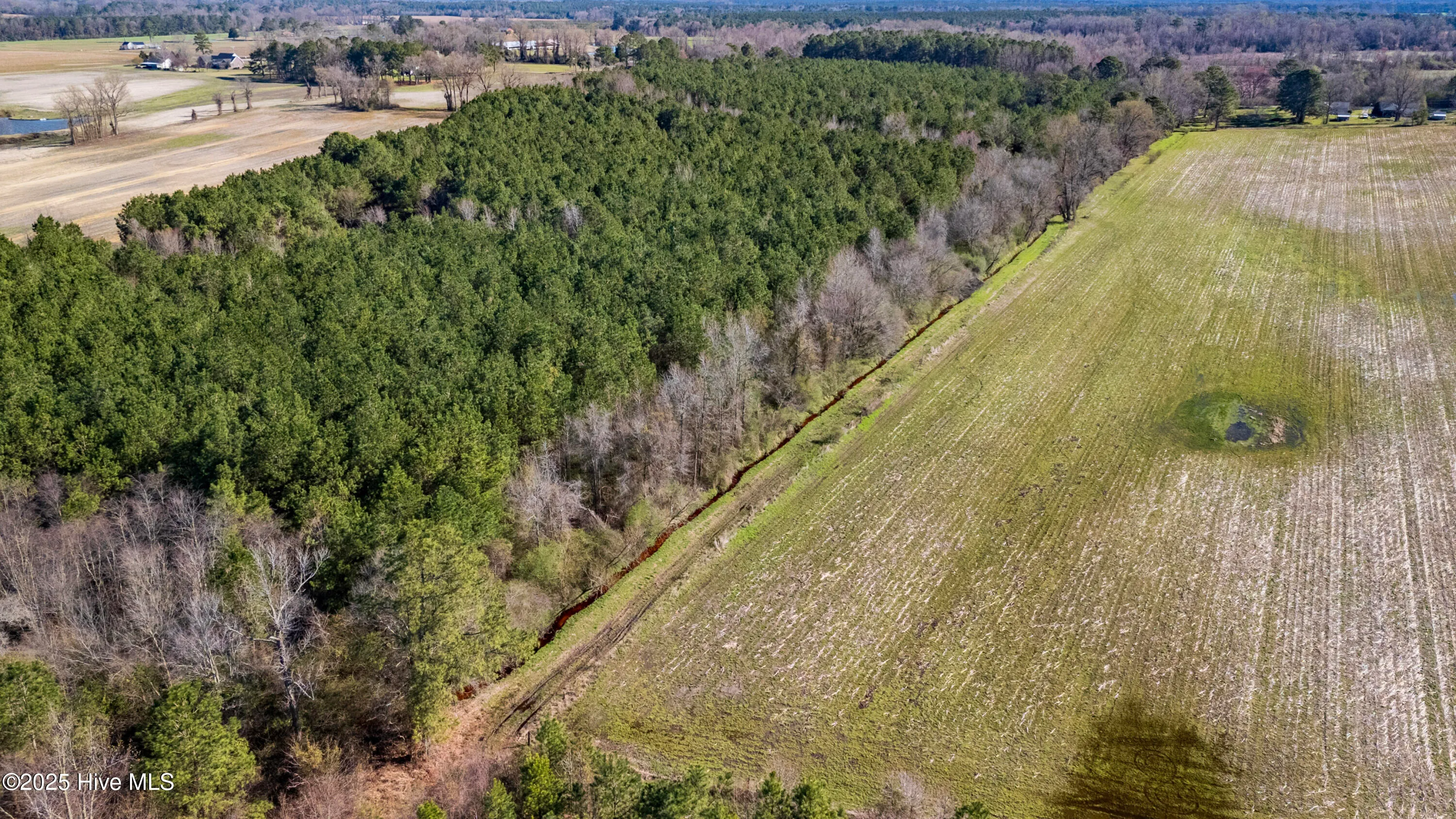 Kenansville, North Carolina 28349, United States, ,Land,Active,94125