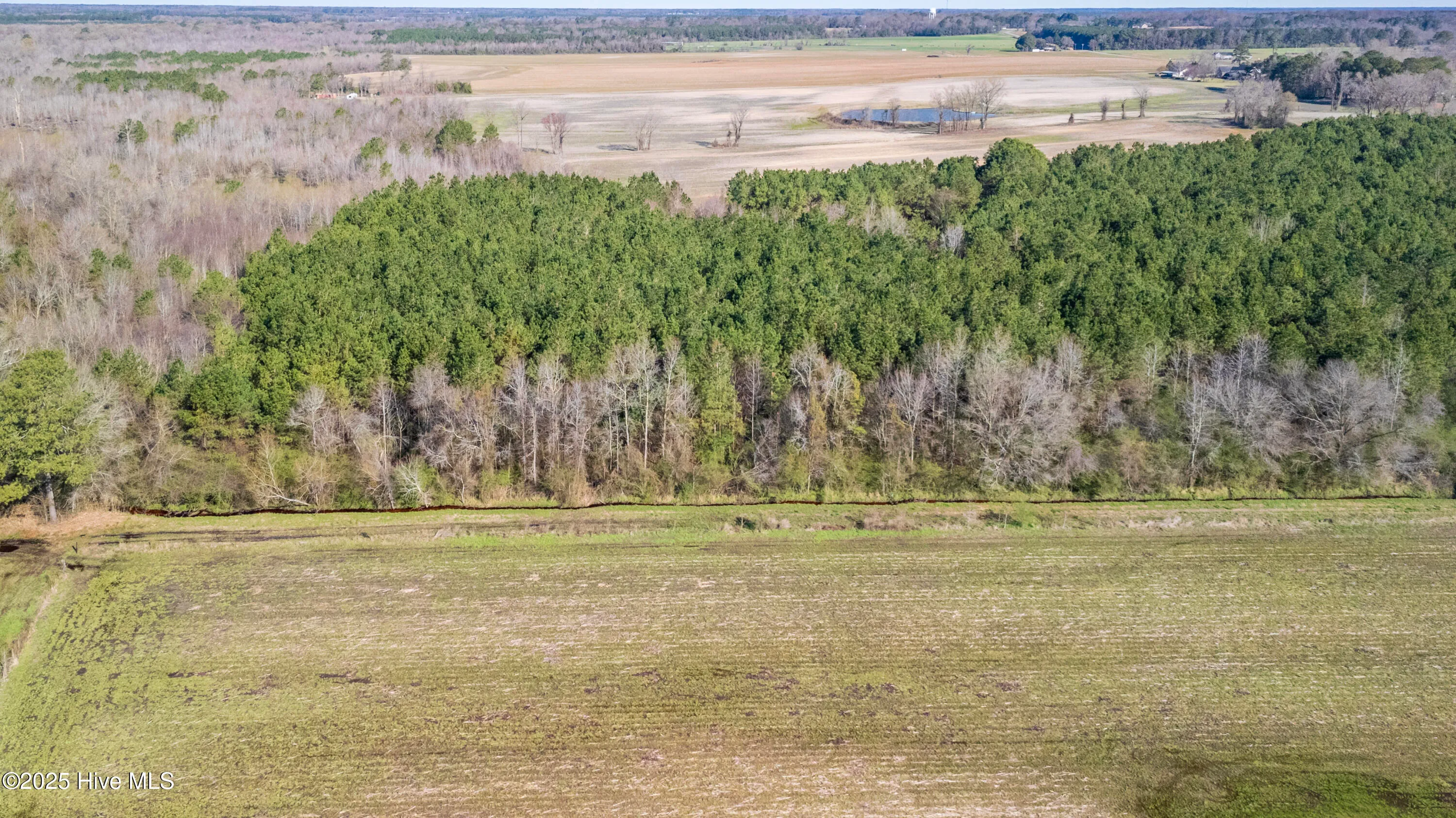 Kenansville, North Carolina 28349, United States, ,Land,Active,94125