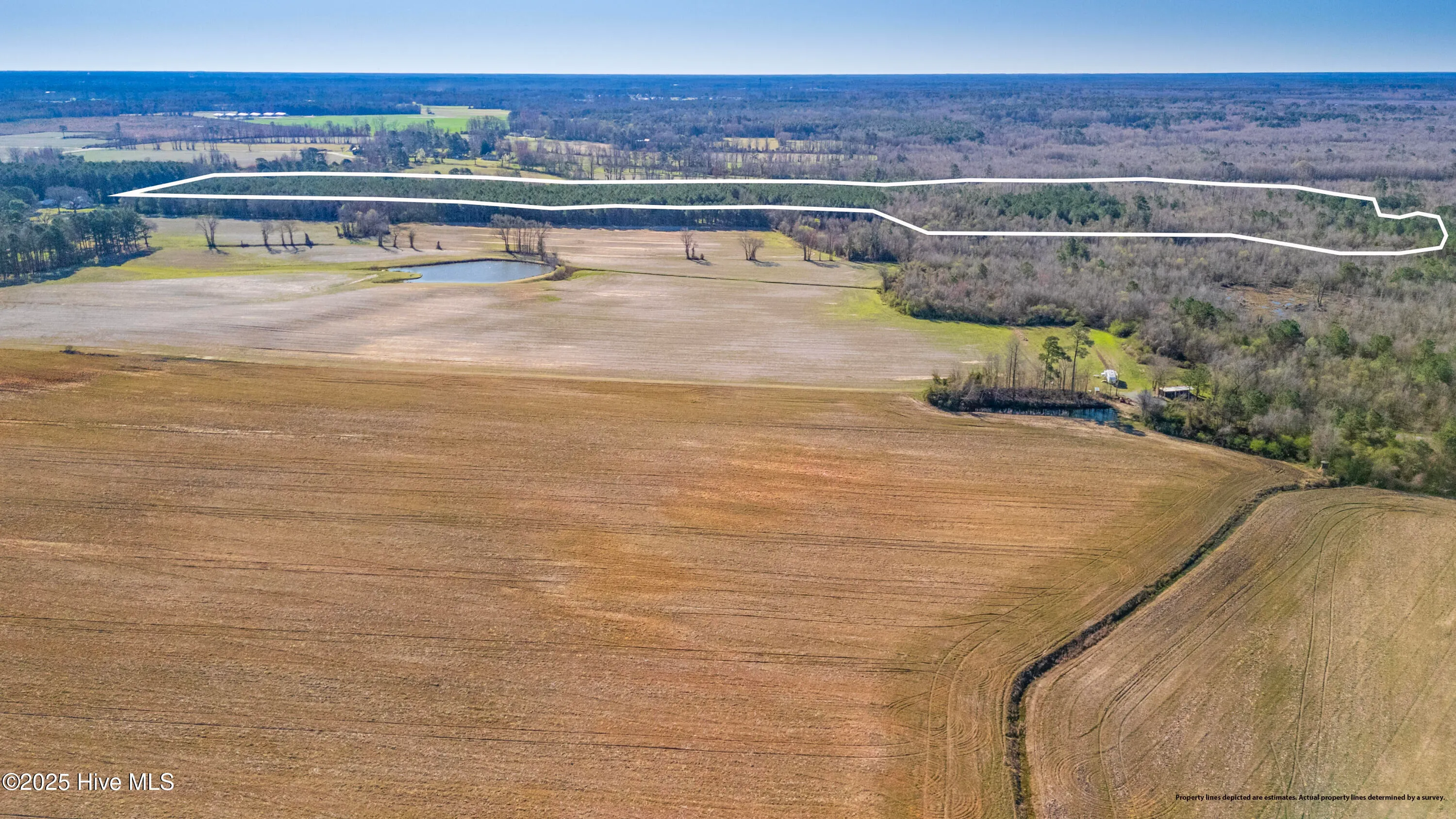 Kenansville, North Carolina 28349, United States, ,Land,Active,94125