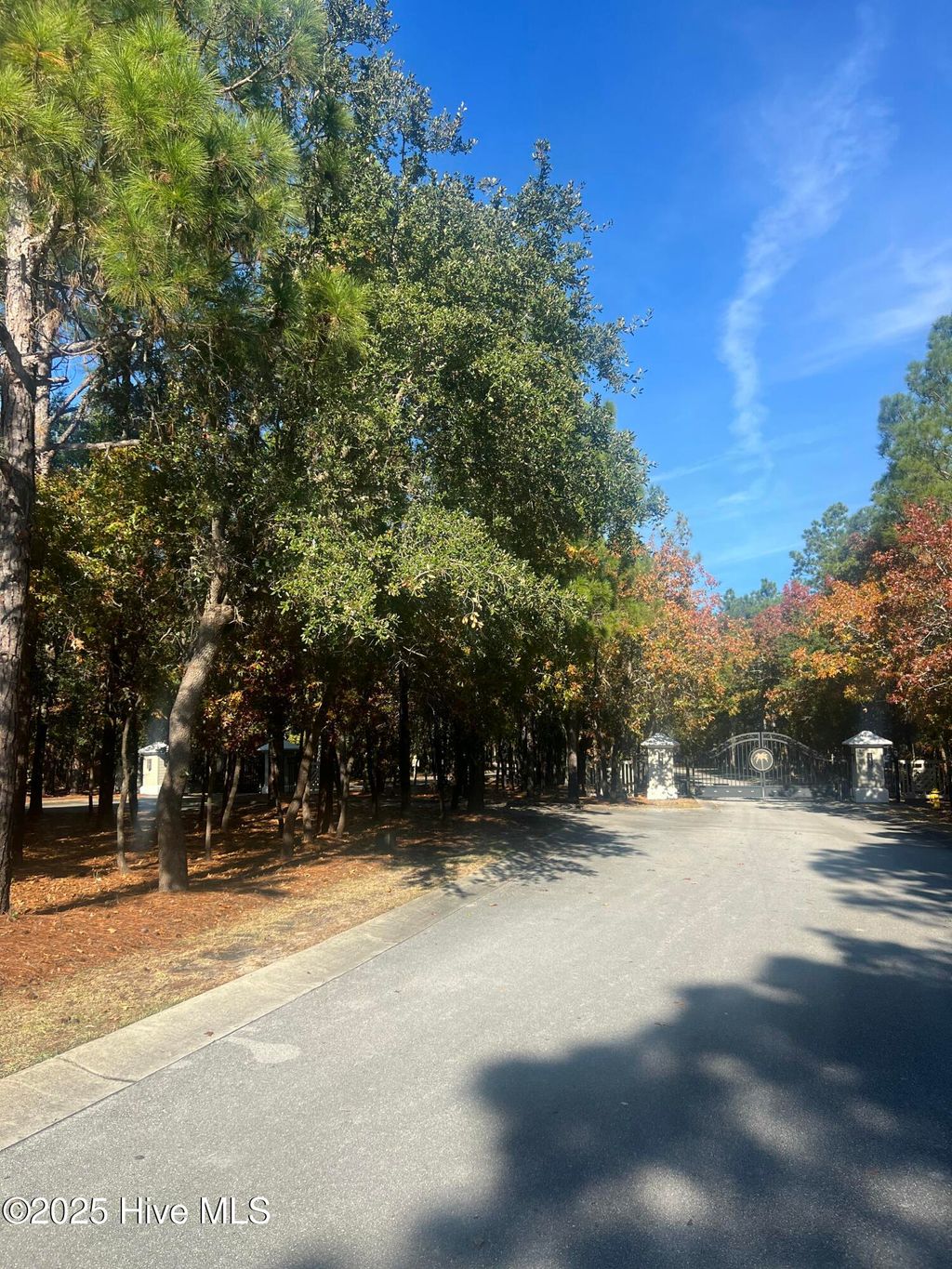 Photo of 653 Antonica Place SE, Bolivia, NC 28422 (MLS # 100542973)