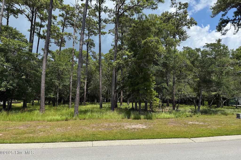 Photo of 3430 Scupper Run SE, Southport, NC 28461 (MLS # 100521966)