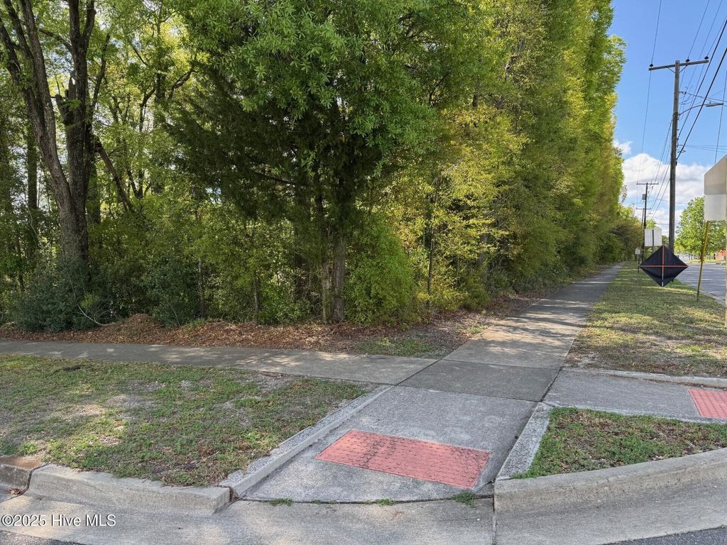 Photo of 1006 Mcrae Street, Wilmington, NC 28401 (MLS # 100500081)