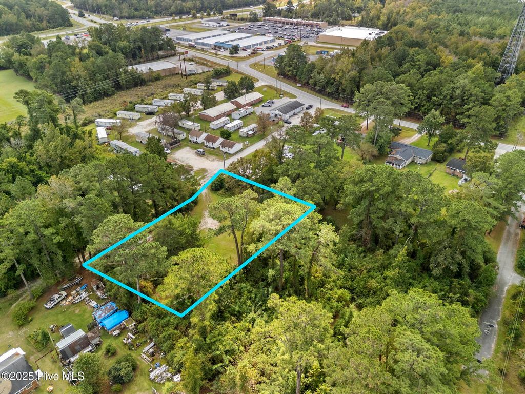 Photo of 115 Puppy Lane, Jacksonville, NC 28540 (MLS # 100536467)