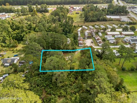 Tiny photo for 115 Puppy Lane, Jacksonville, NC 28540 (MLS # 100536467)