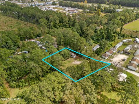 Tiny photo for 115 Puppy Lane, Jacksonville, NC 28540 (MLS # 100536467)