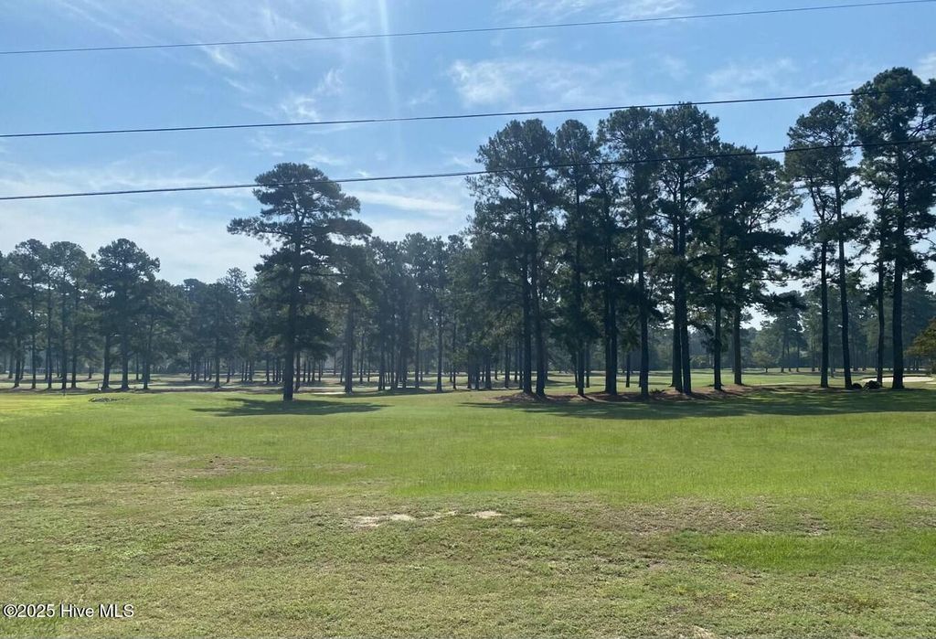 Photo of 49 N Country Club Road, Kenansville, NC 28349 (MLS # 100486928)