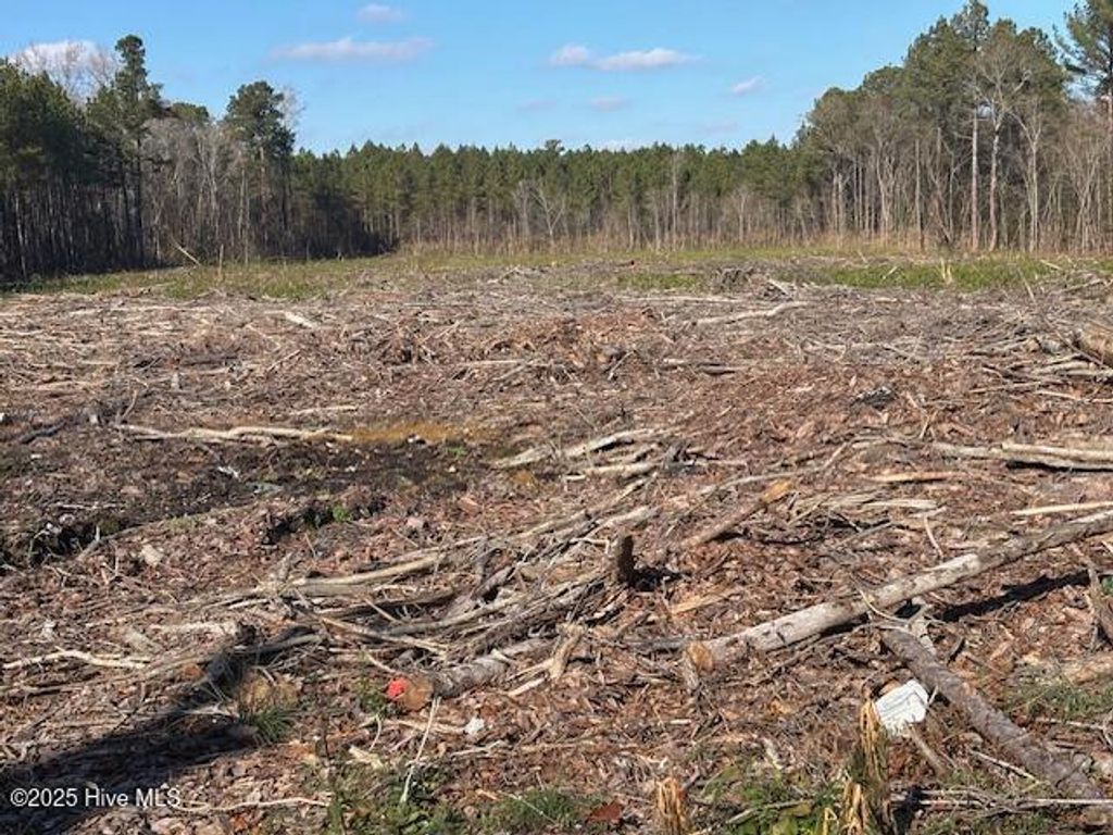 Photo of 0 Crepe Myrtle Court, Wilson, NC 27896 (MLS # 100543899)