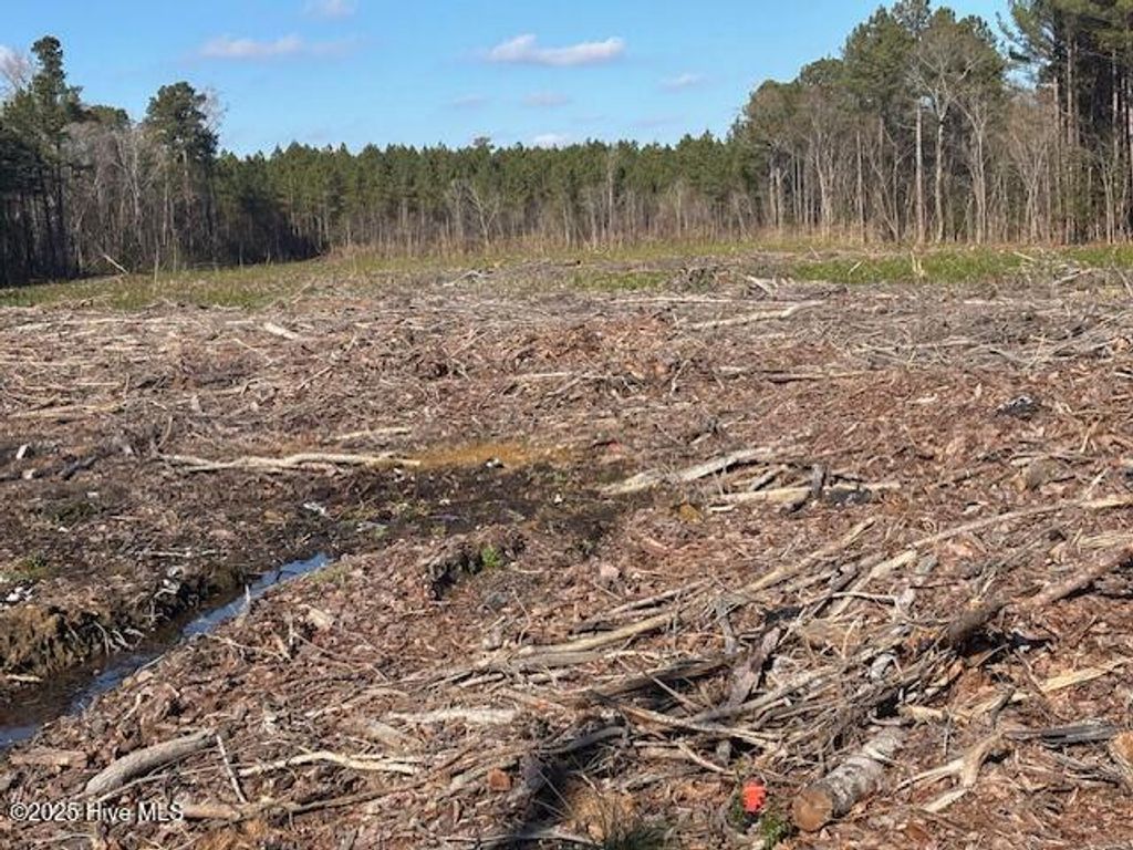 Photo of 0 Crepe Myrtle Court, Wilson, NC 27896 (MLS # 100543899)