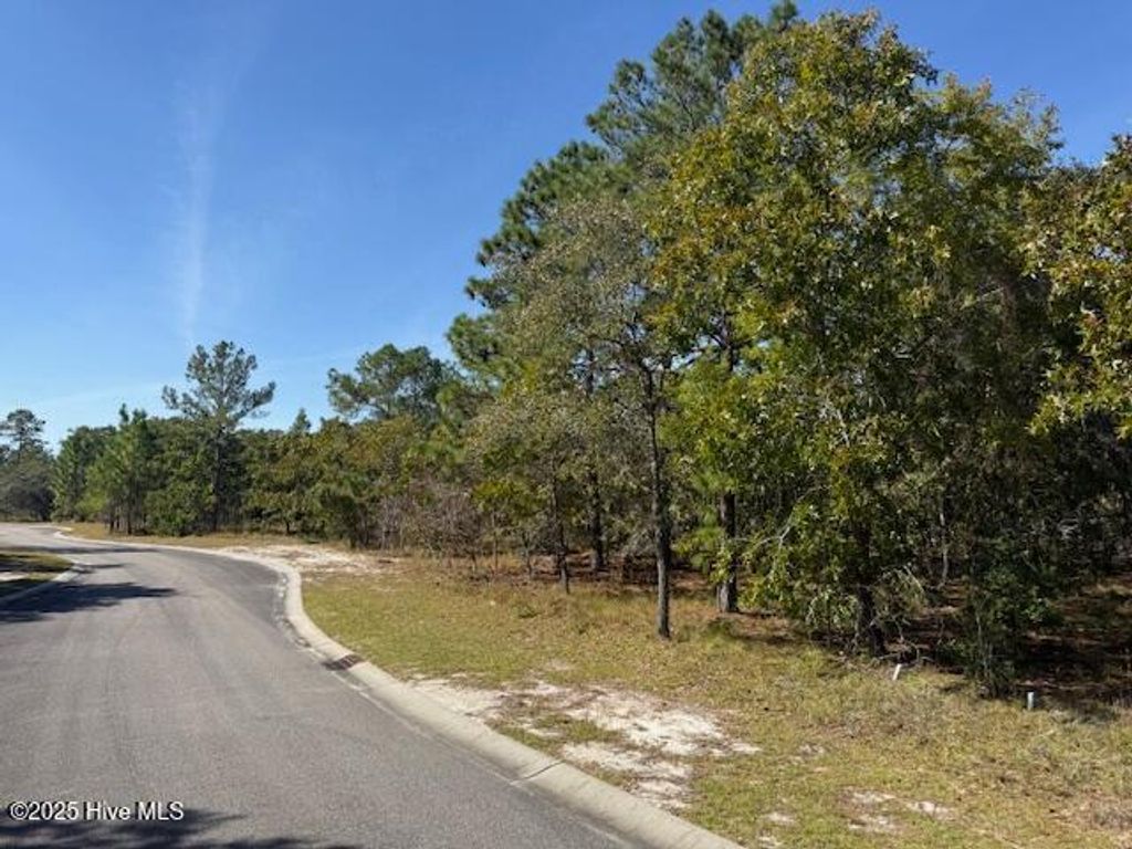 Photo of 435 Istria Way SE, Bolivia, NC 28422 (MLS # 100538116)
