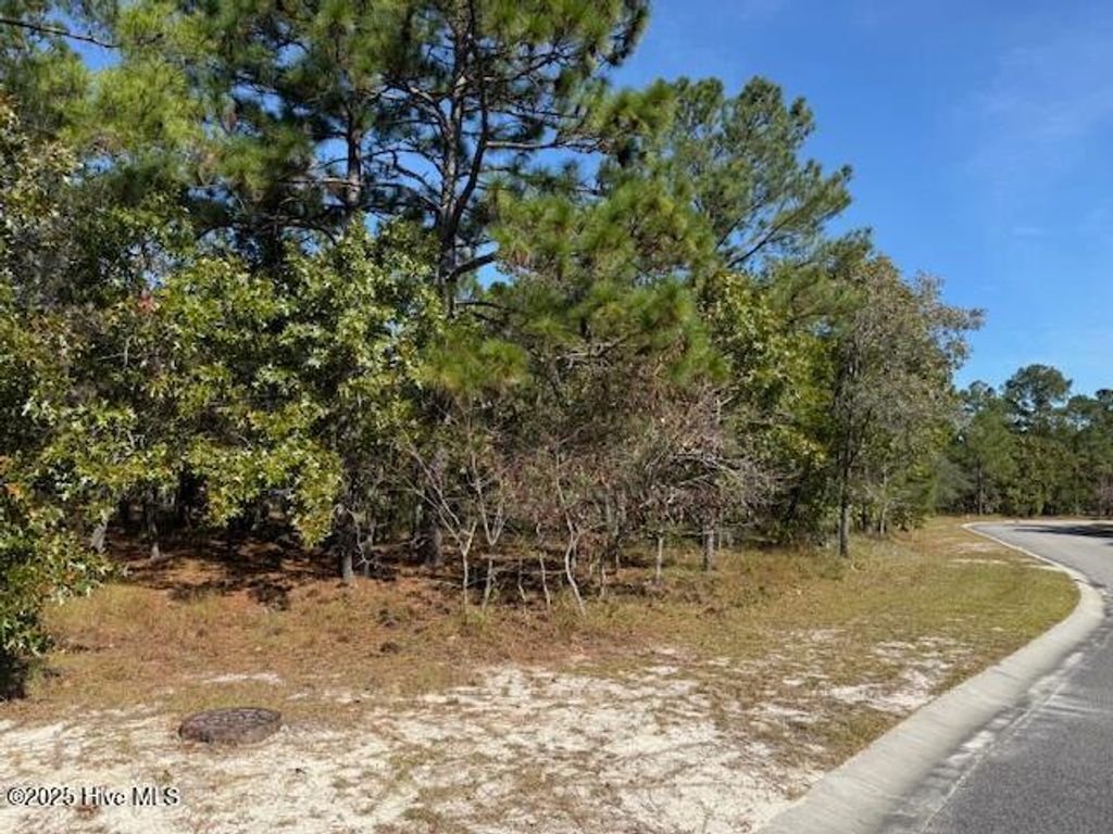 Photo of 435 Istria Way SE, Bolivia, NC 28422 (MLS # 100538116)