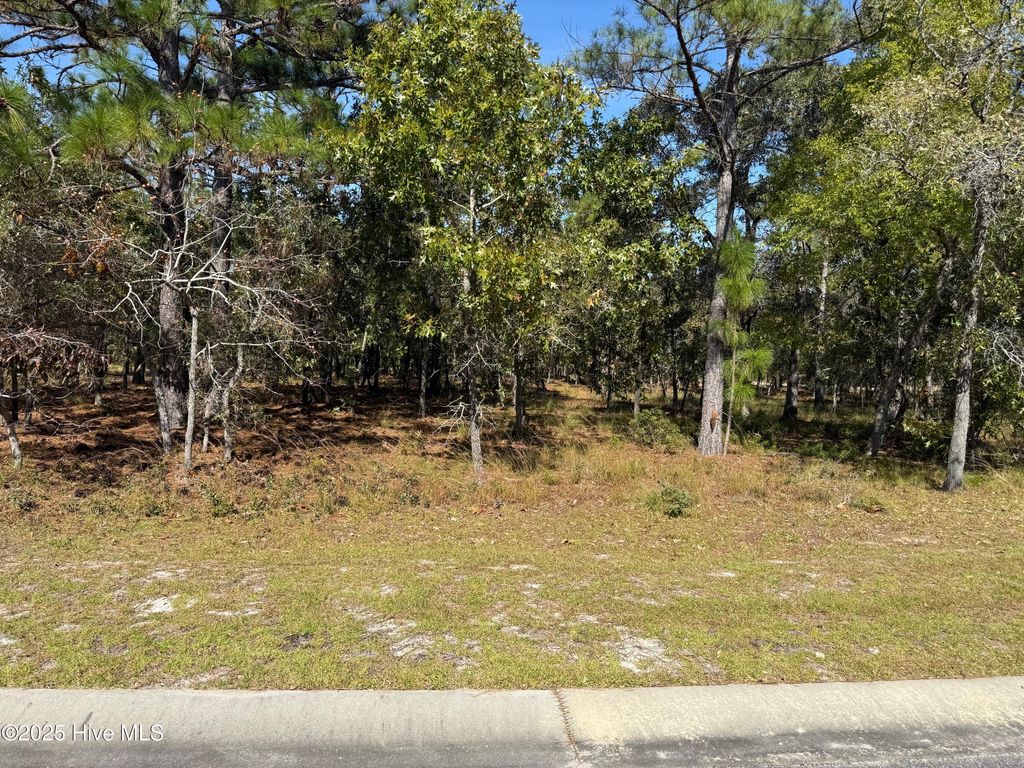Photo of 435 Istria Way SE, Bolivia, NC 28422 (MLS # 100538116)
