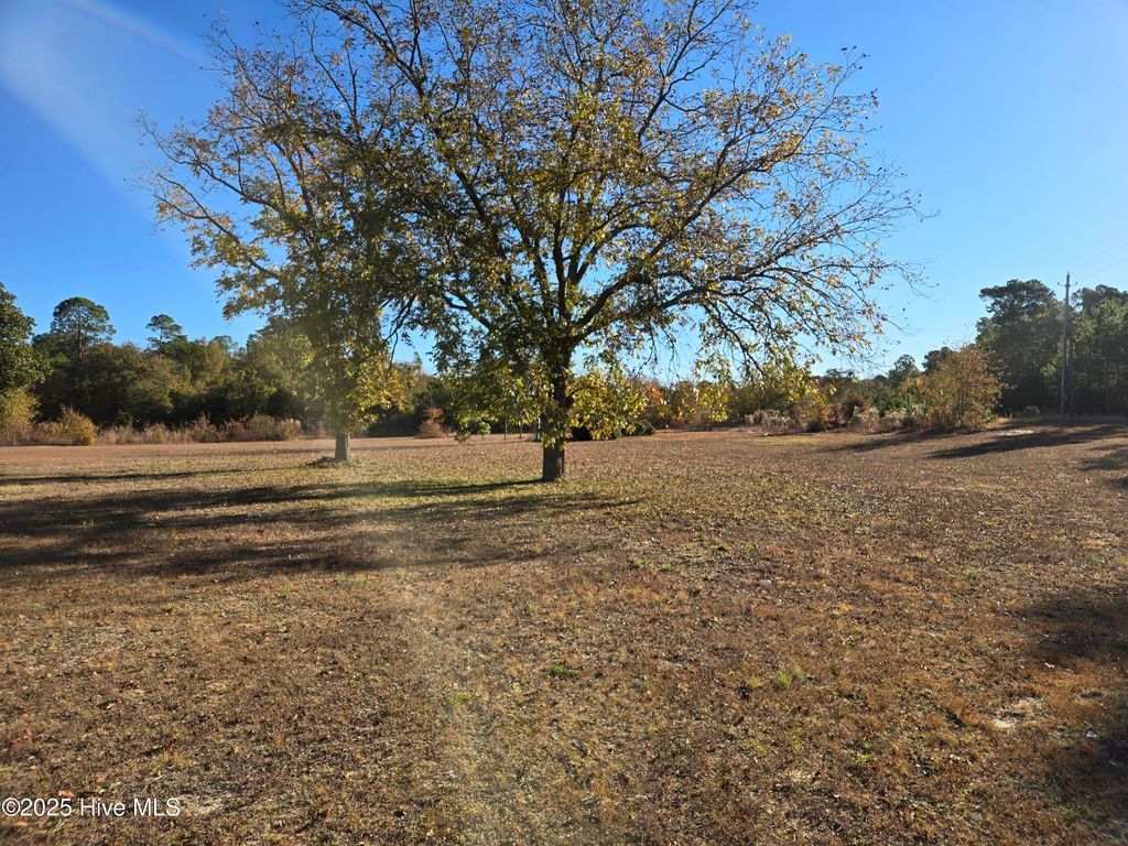 Photo of 10141 Dirt Rd Beside Fongs Road, Laurinburg, NC 28352 (MLS # 100541946)