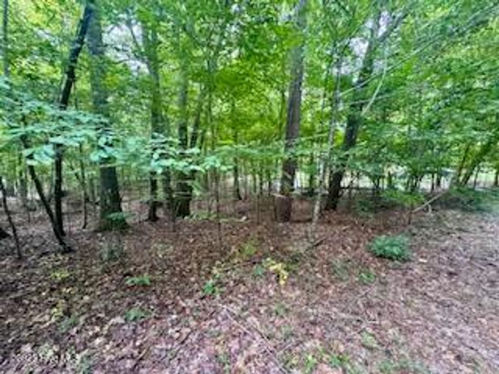 Photo of 53 Teak Street, Hertford, NC 27944 (MLS # 100532336)