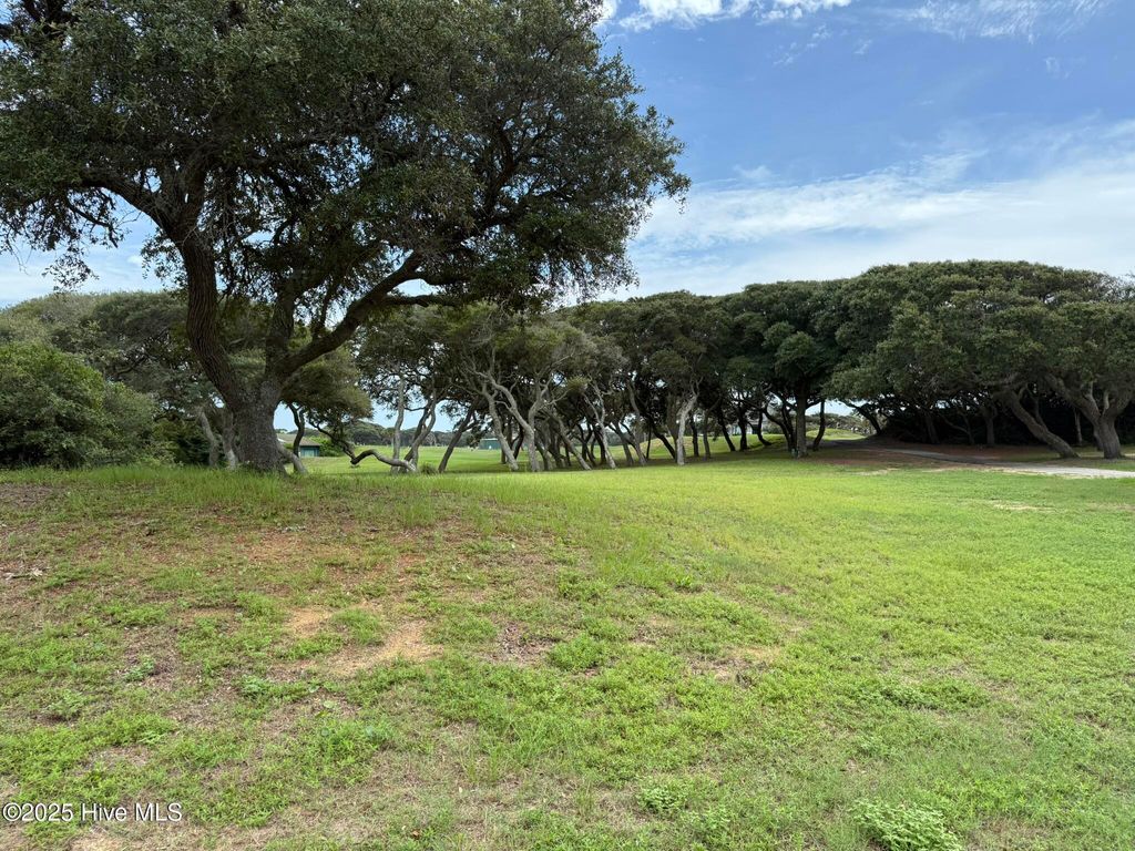 Photo of 81 Yaupon Way, Oak Island, NC 28465 (MLS # 100525452)