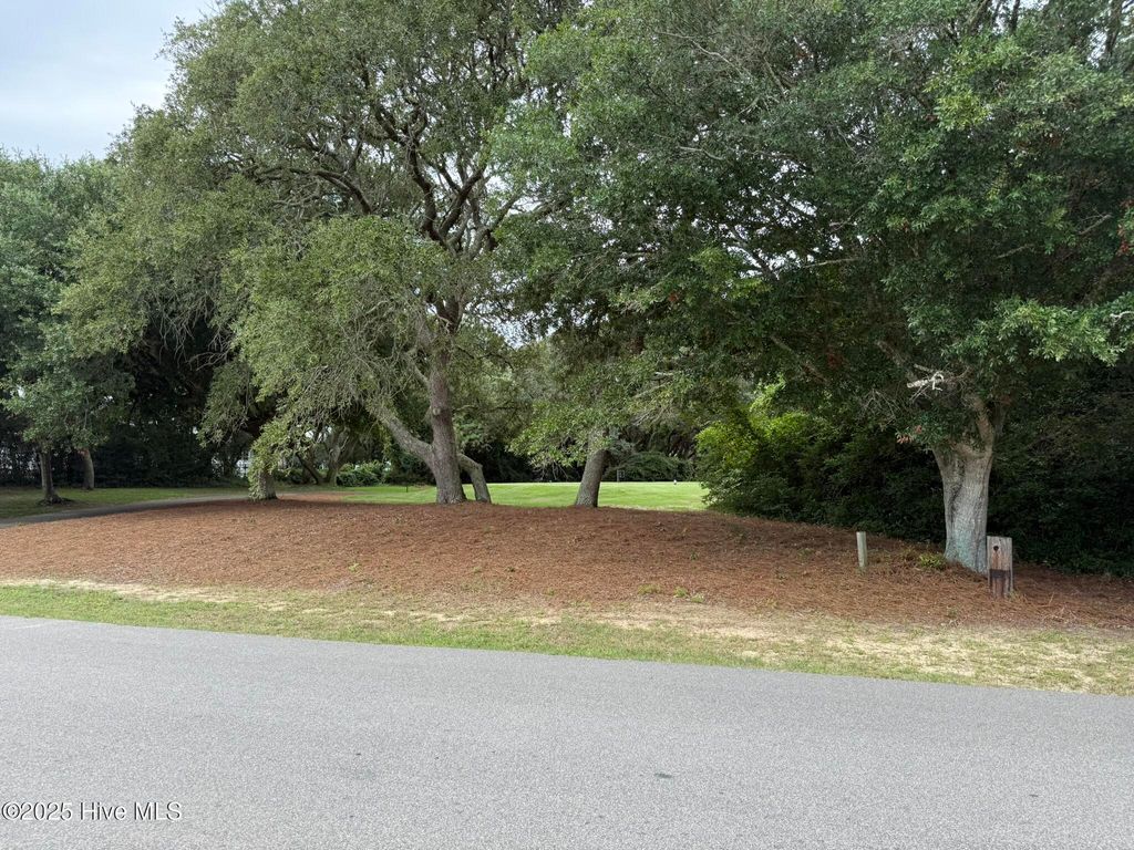 Photo of 81 Yaupon Way, Oak Island, NC 28465 (MLS # 100525452)