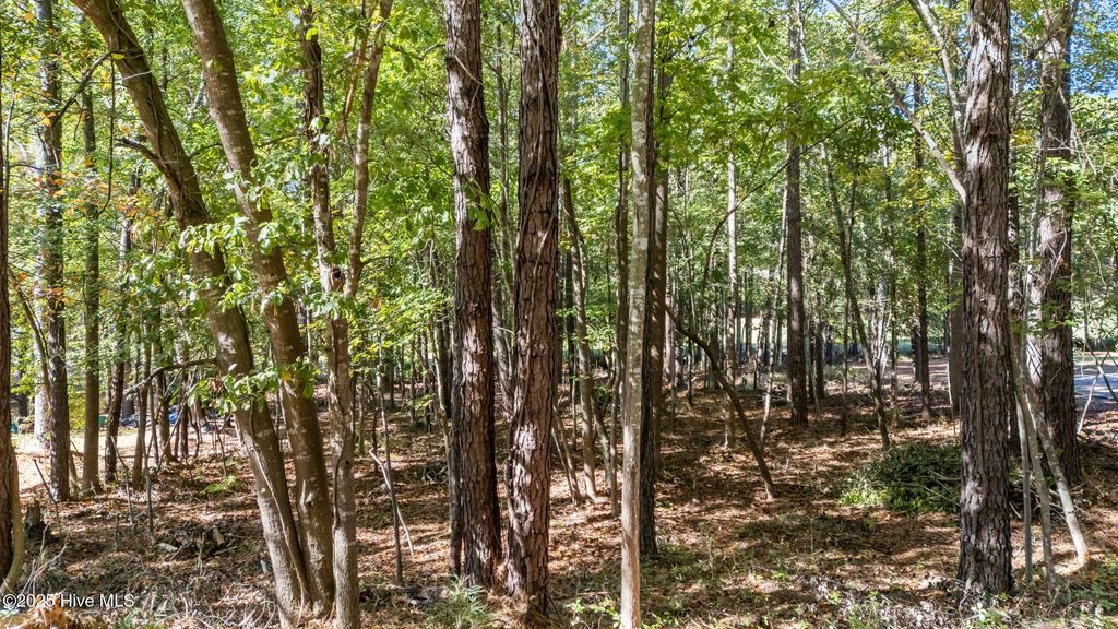 Photo of 108 Winsford Circle, West End, NC 27376 (MLS # 100537873)