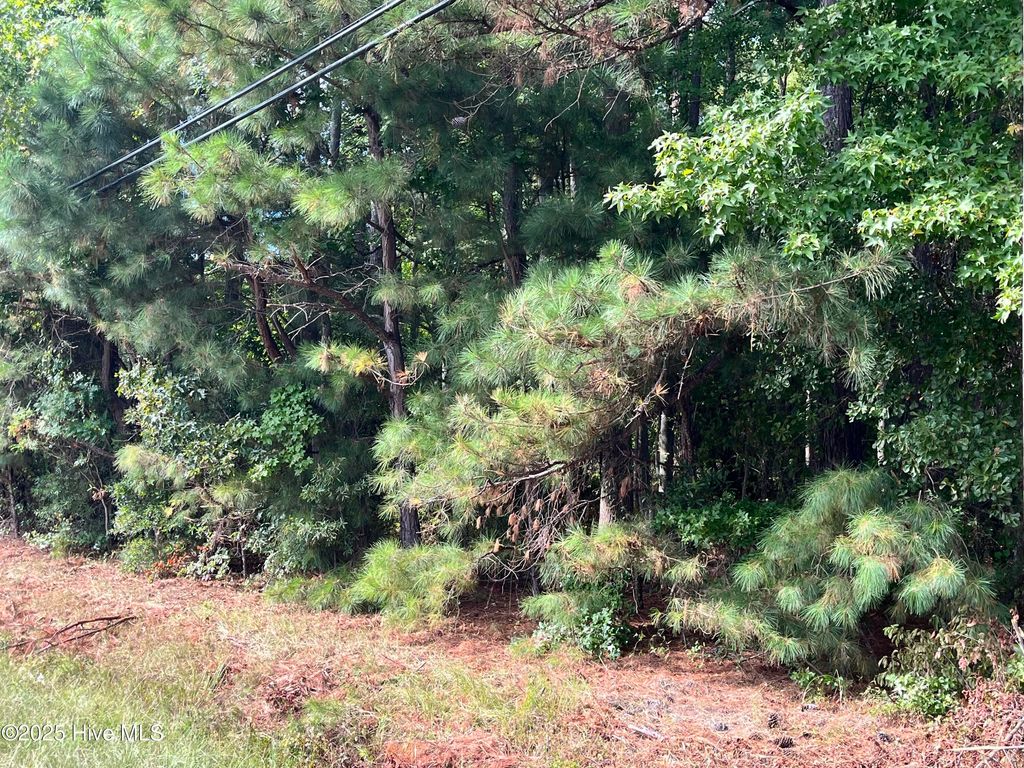 Photo of Tbd Cokey Road, Rocky Mount, NC 27801 (MLS # 100528675)